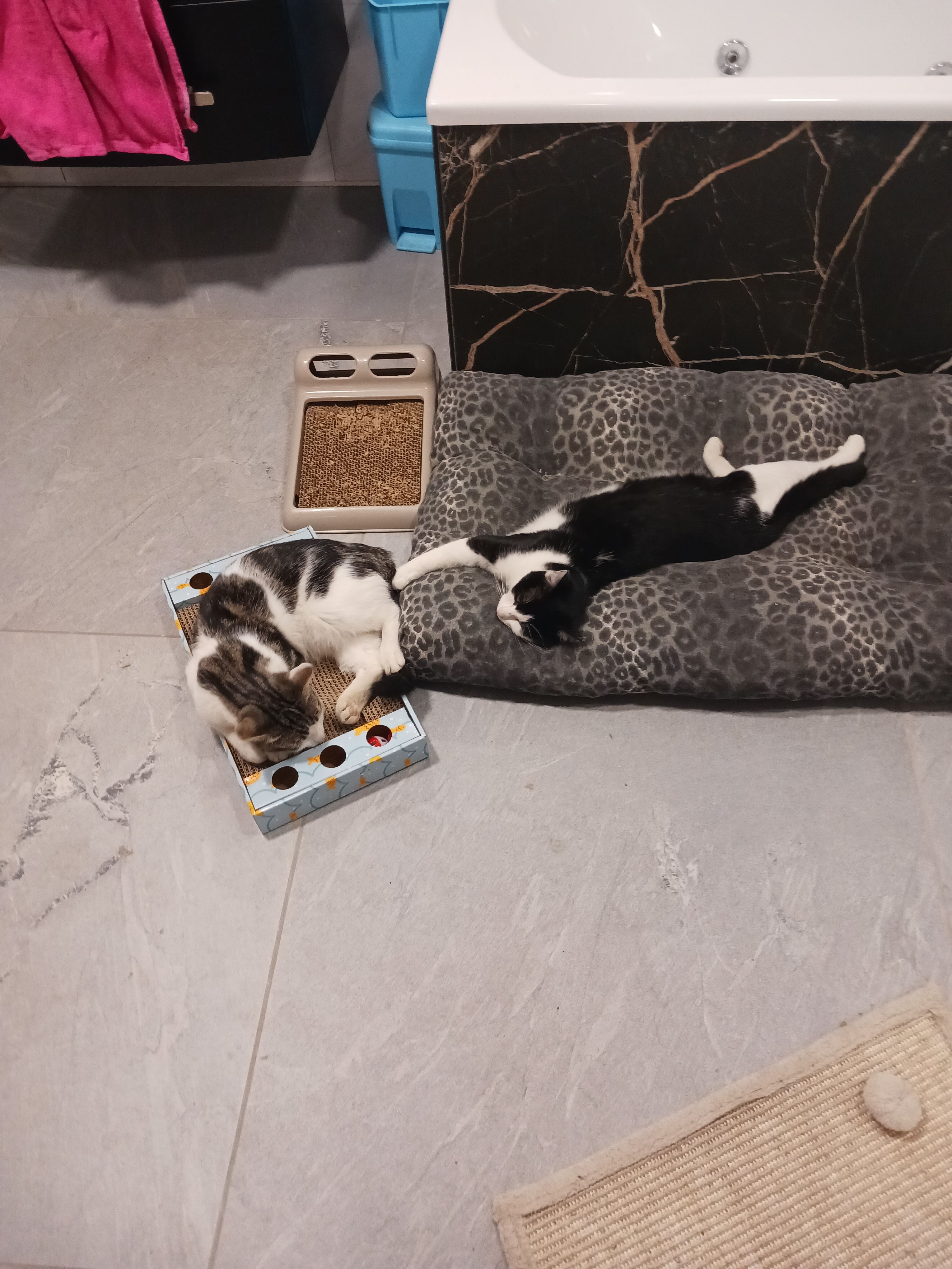 Tac - 121B Rue de Niergnies, Cambrai