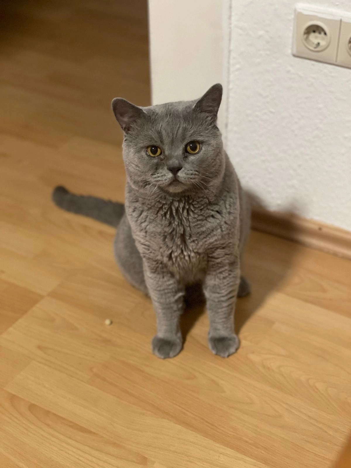 Motja - Hans-Christoph-Seebohm-Straße, Nürnberg