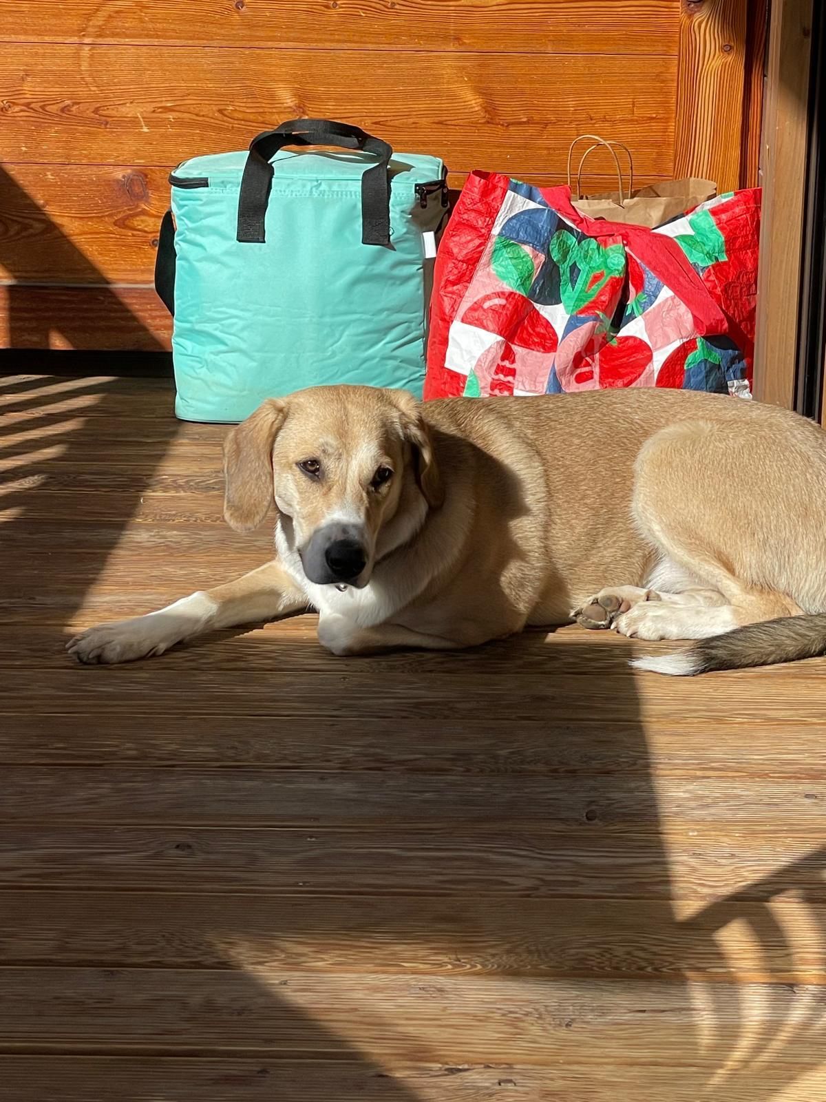 mety - Dahlenholz, Hamburg