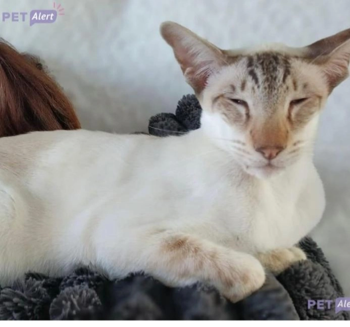 SIAMSSO  - 20 Route de Fontenay, Chaumes-en-Brie