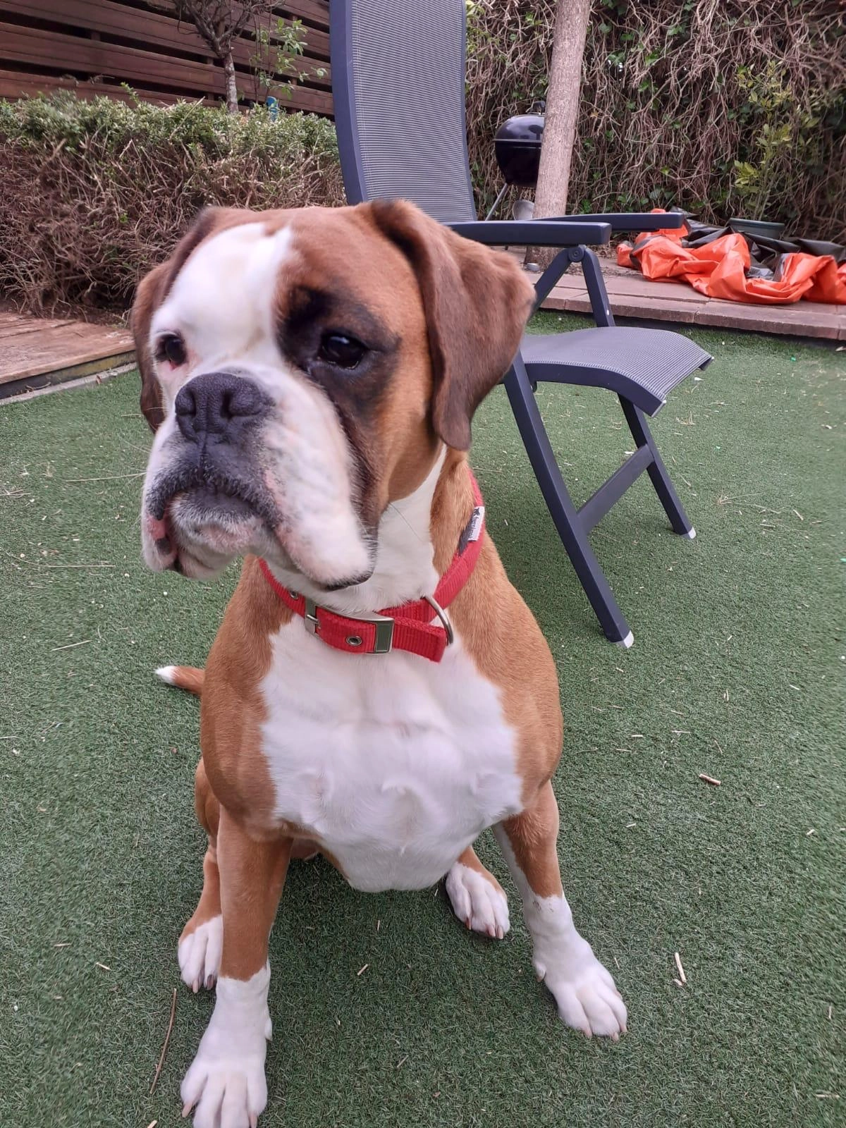 Baily - Laan Van Magisch Realisme, Rotterdam