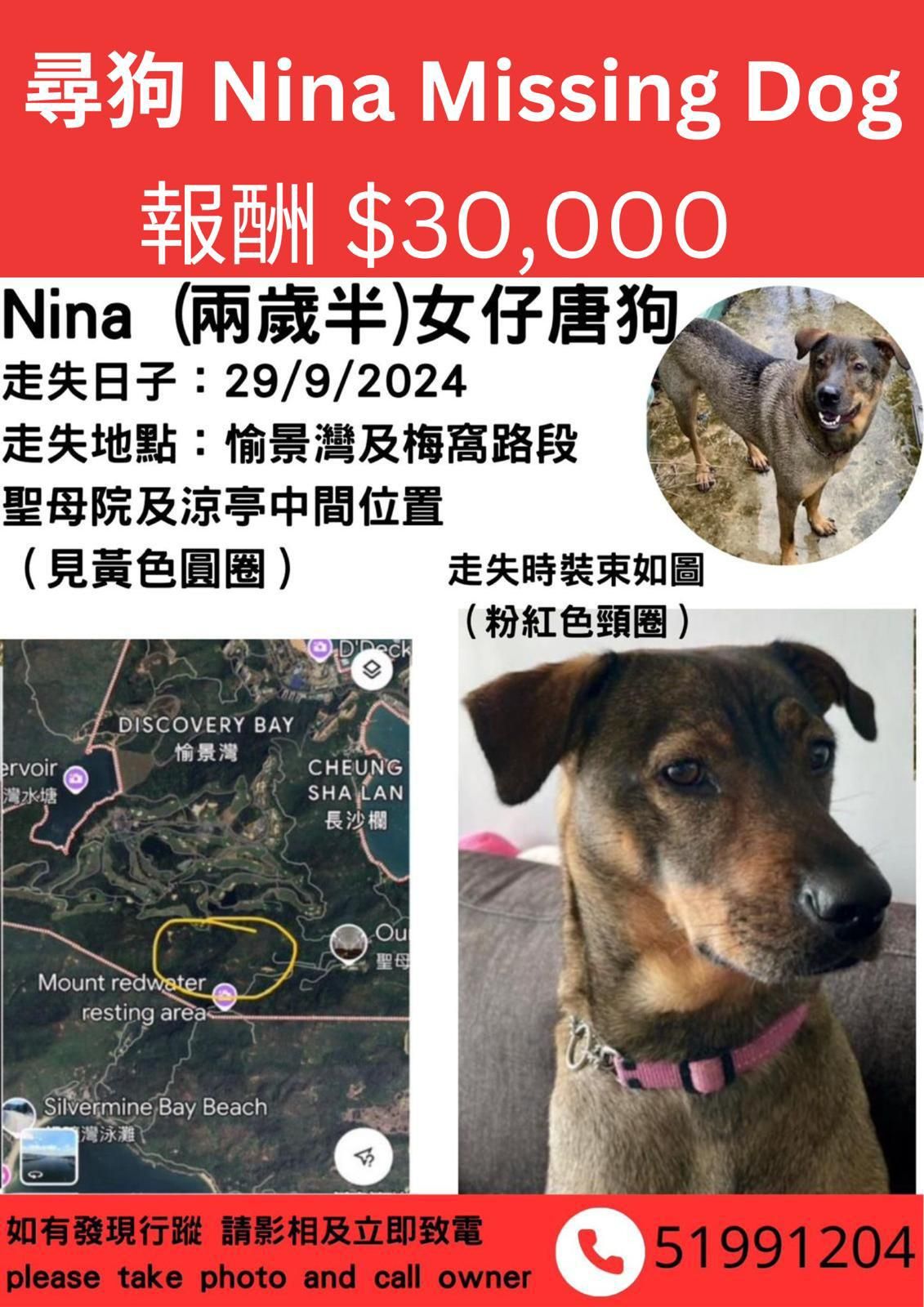 nina -  稔樹湾村,  稔樹湾村