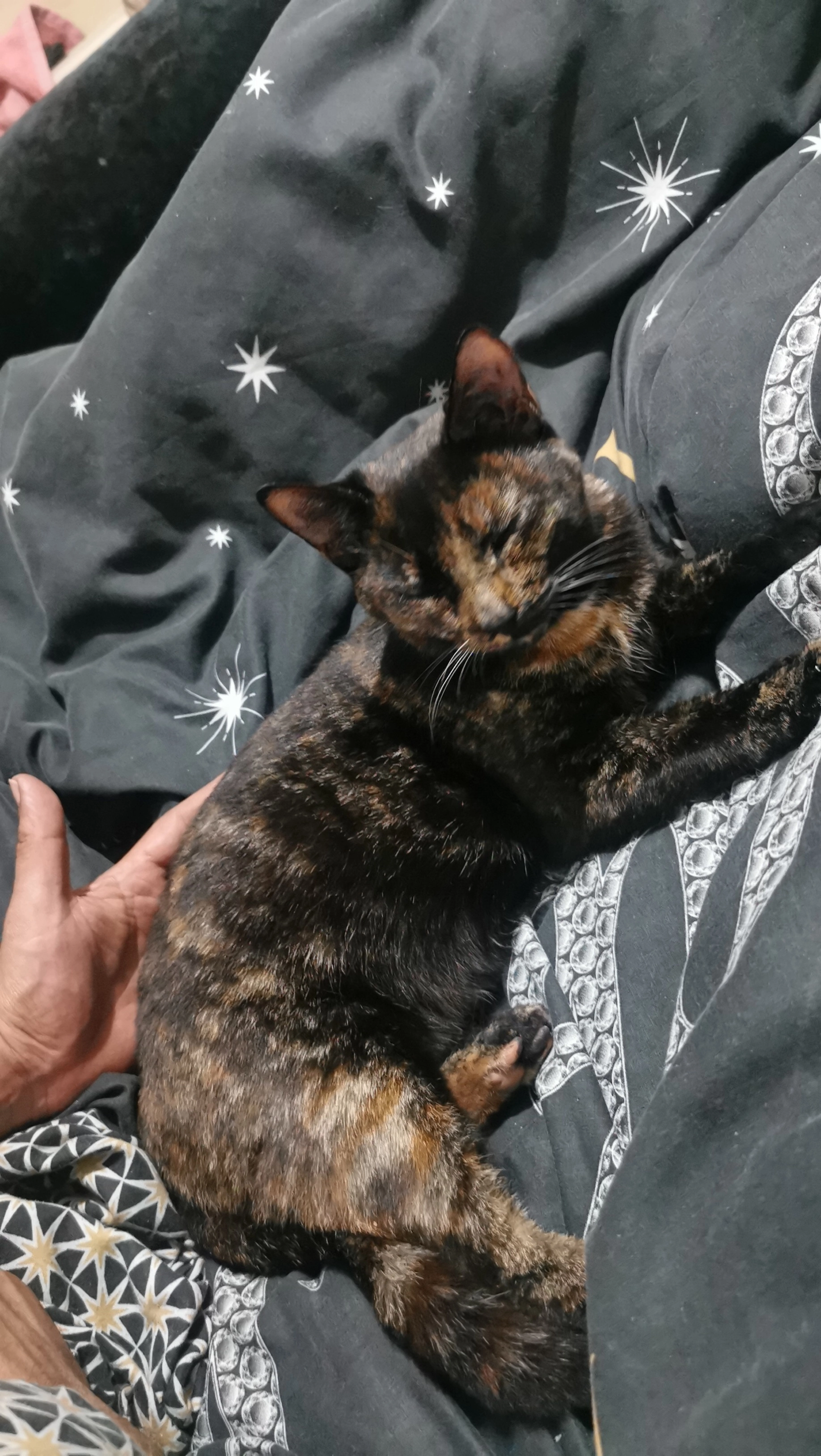 Billo - 24 Brewery Street, Barrow-in-Furness