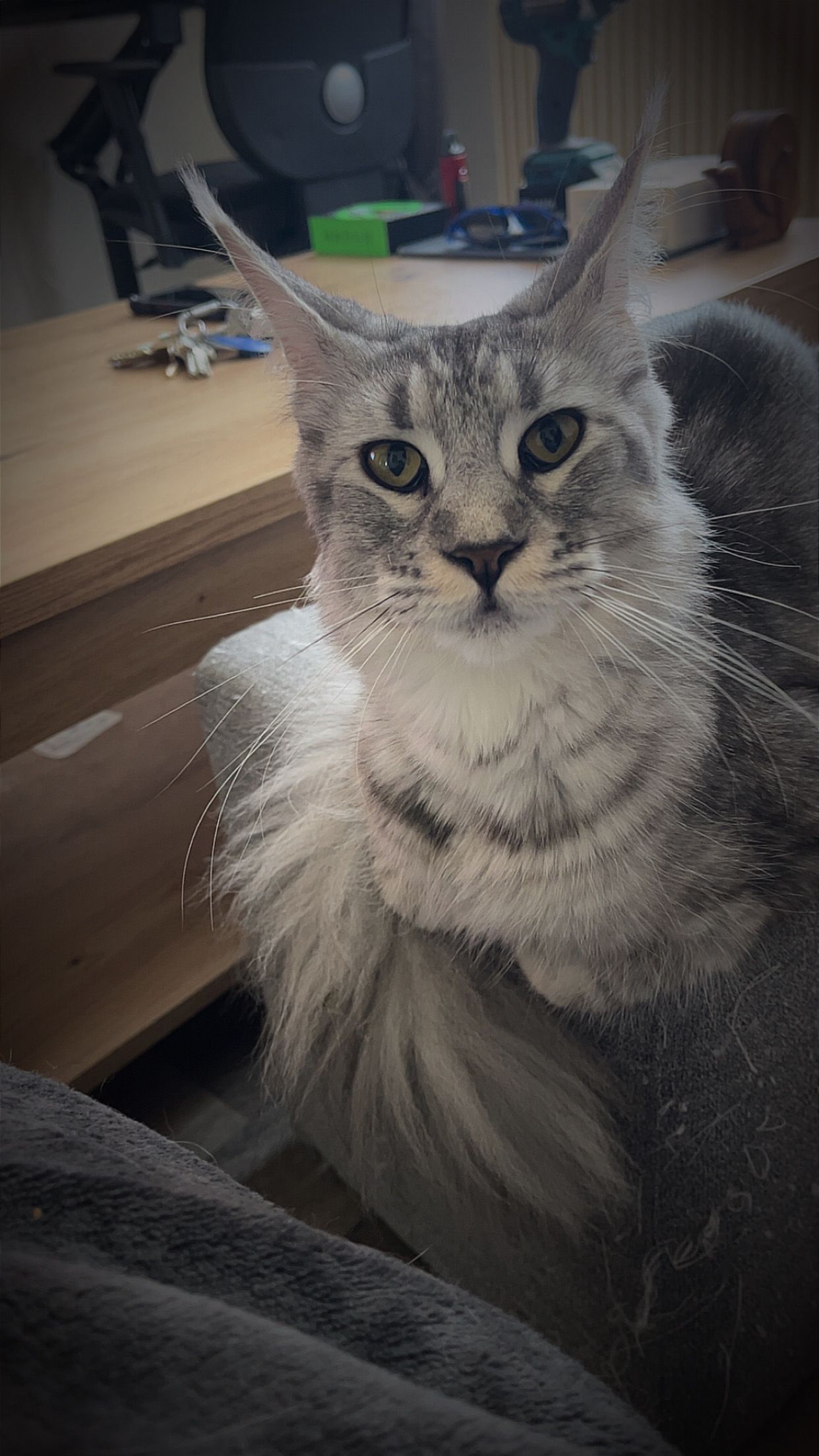 Tokyo - Rue de la Martinique, Creil