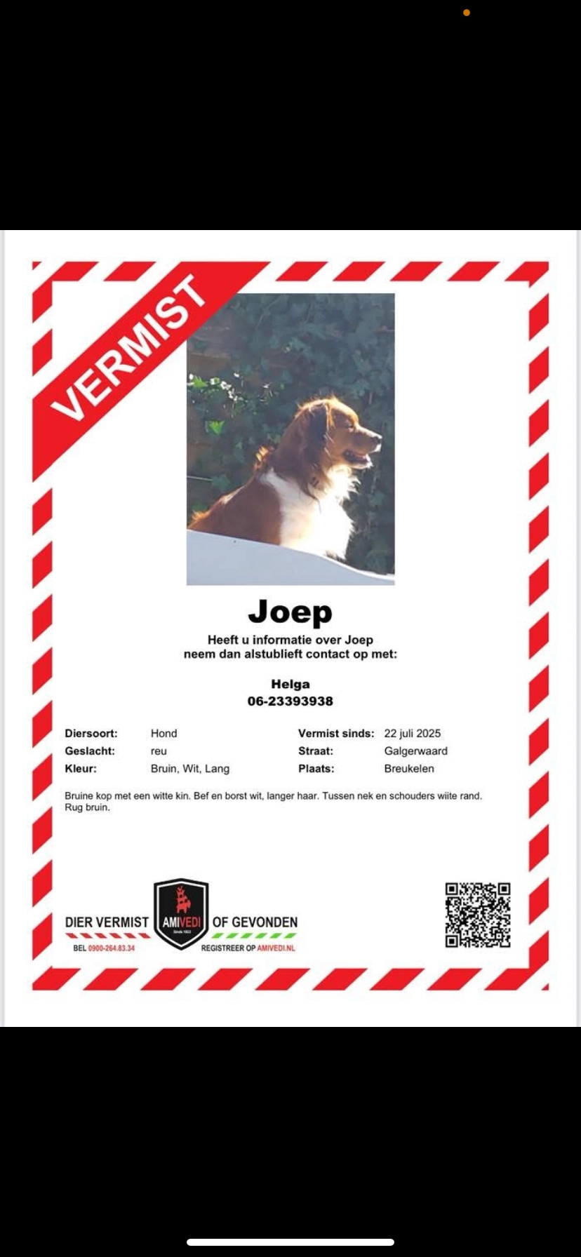 Joep - Galgerwaard, Breukelen