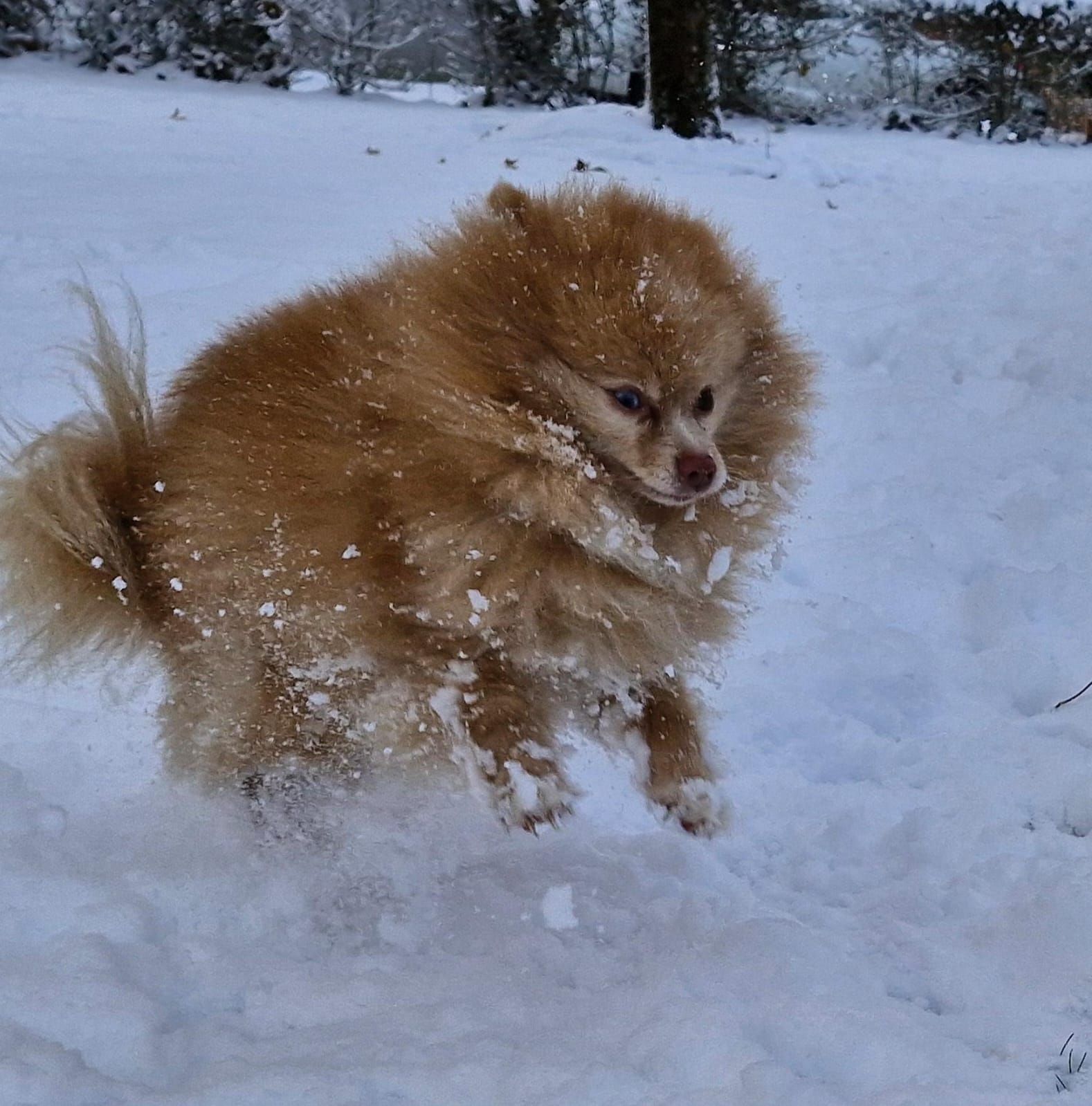 Nelly - Tiroler-Bundesstraße, Hall in Tirol