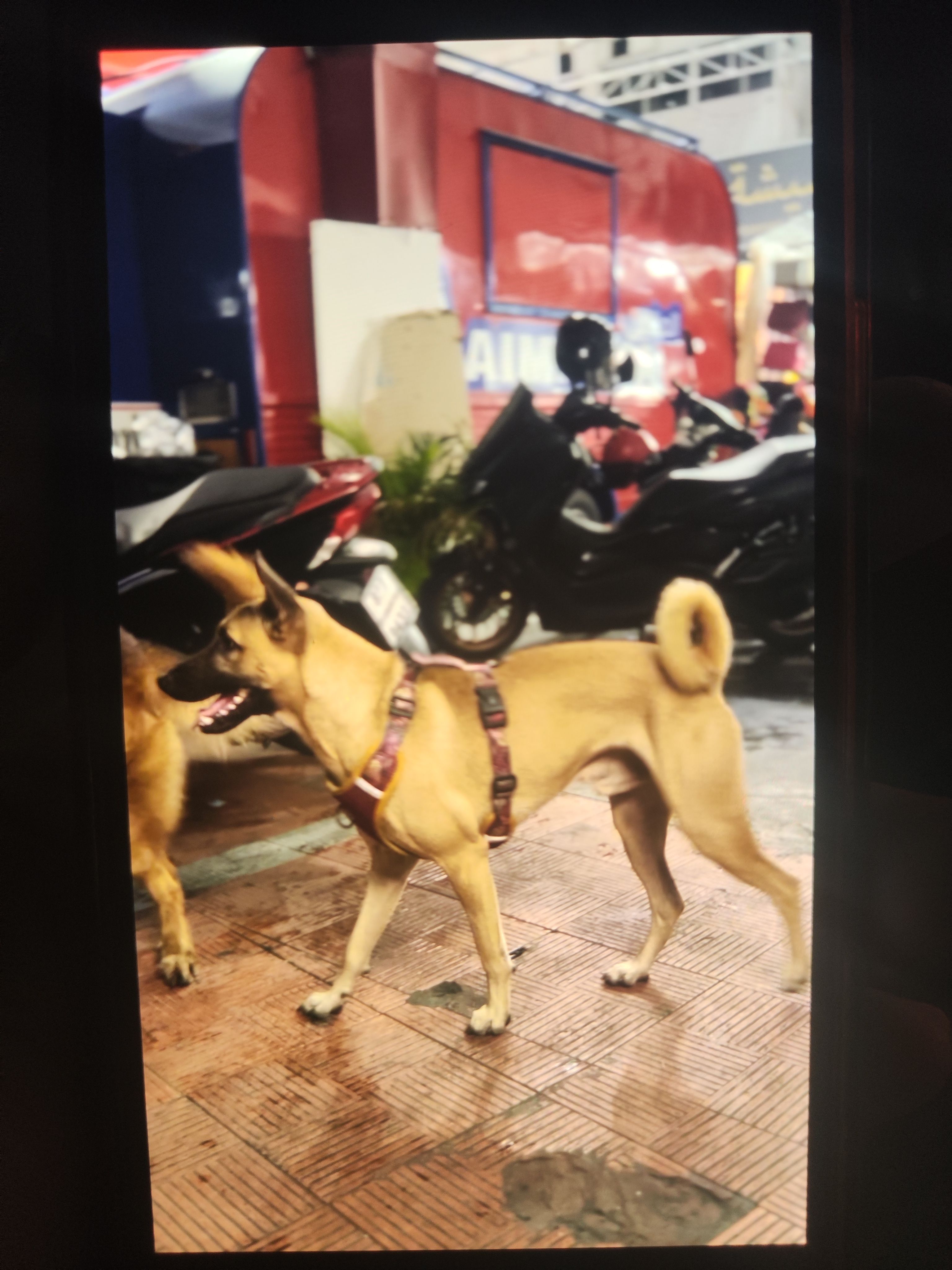 Bhai - ซอยเพชรบุรี 43/1, Bangkok