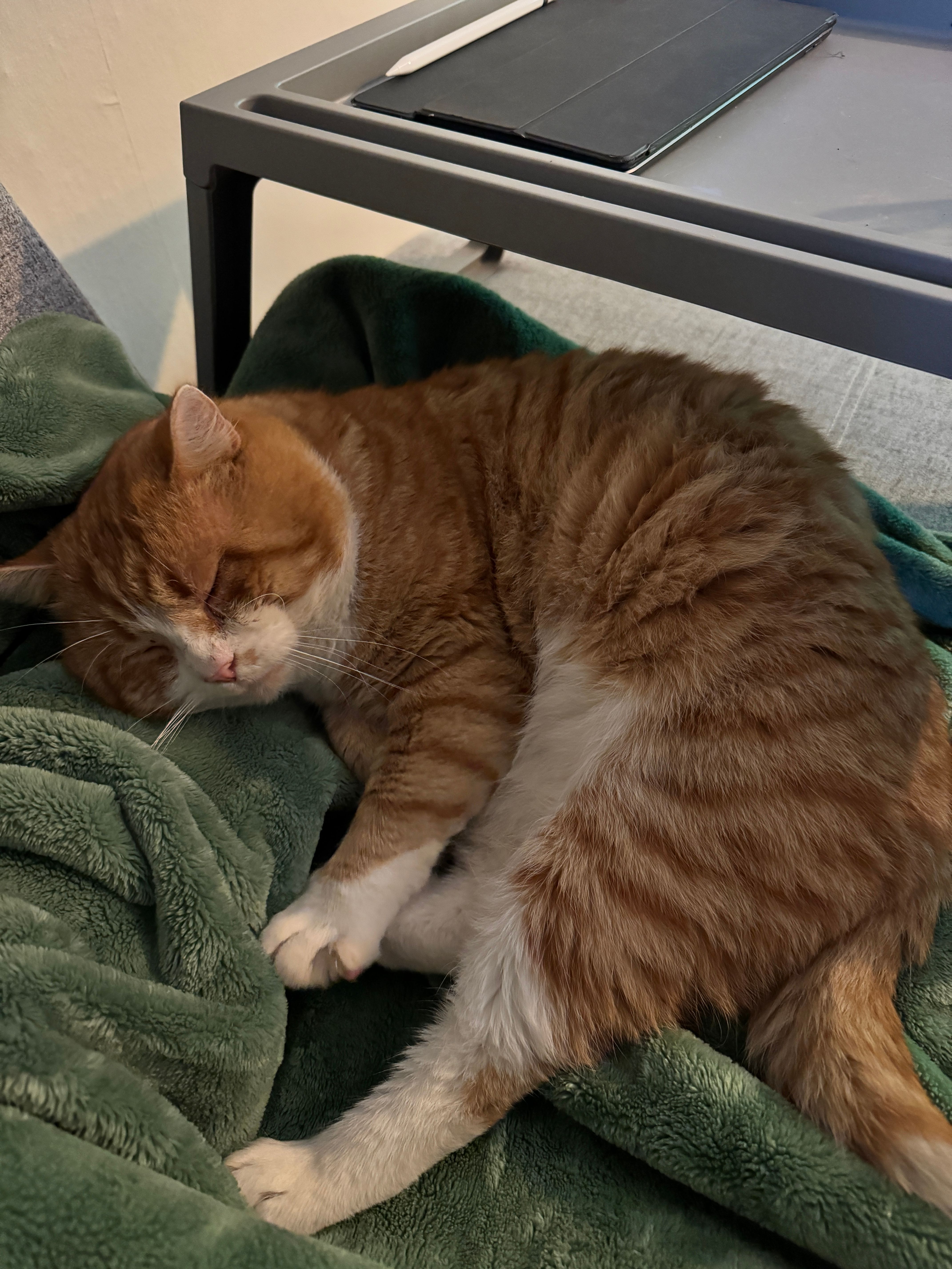 Frederico - Friedensplatz, Landsberg