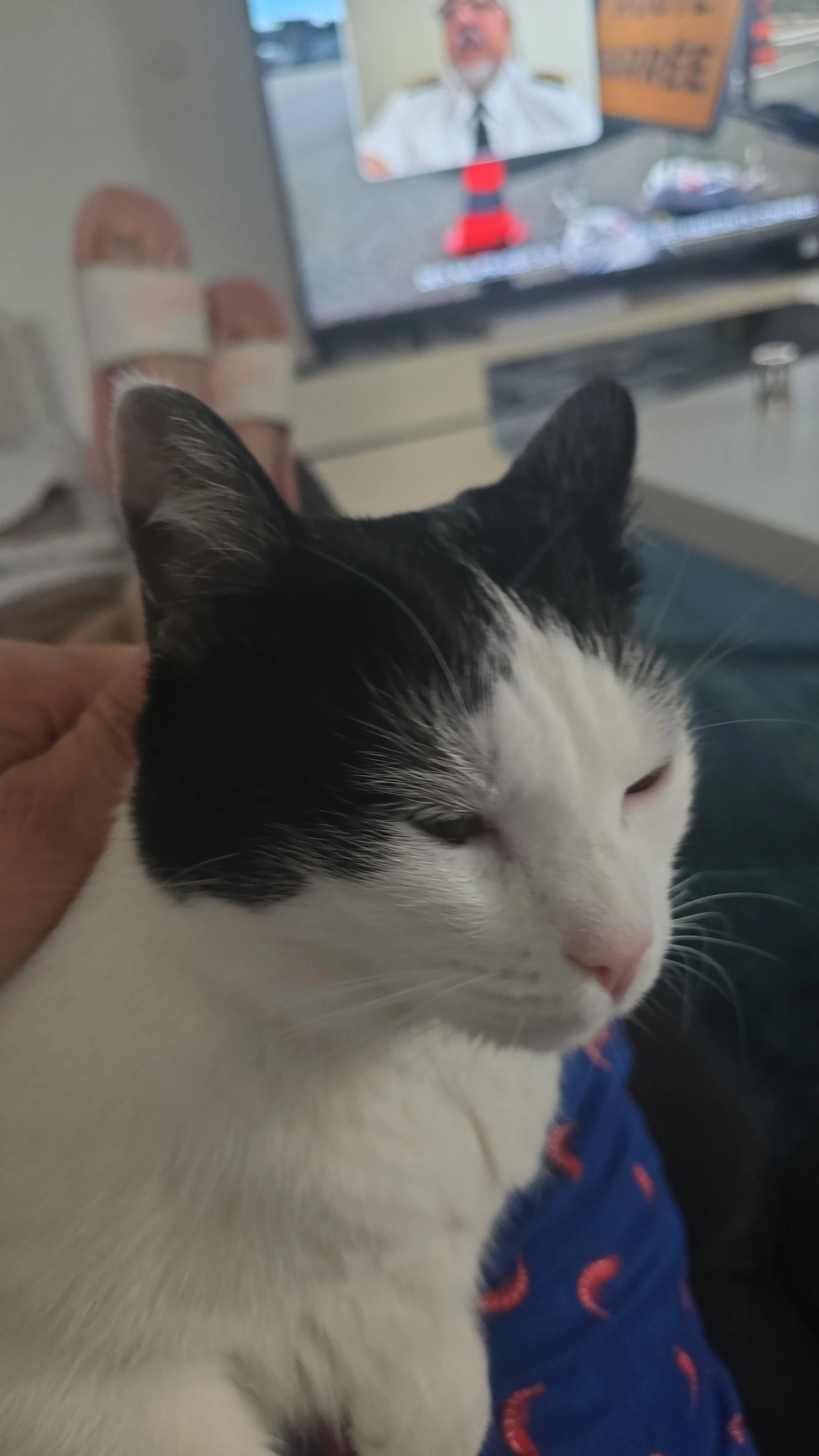 Fripouille  - Rue des Fontaines 13, Vallorbe