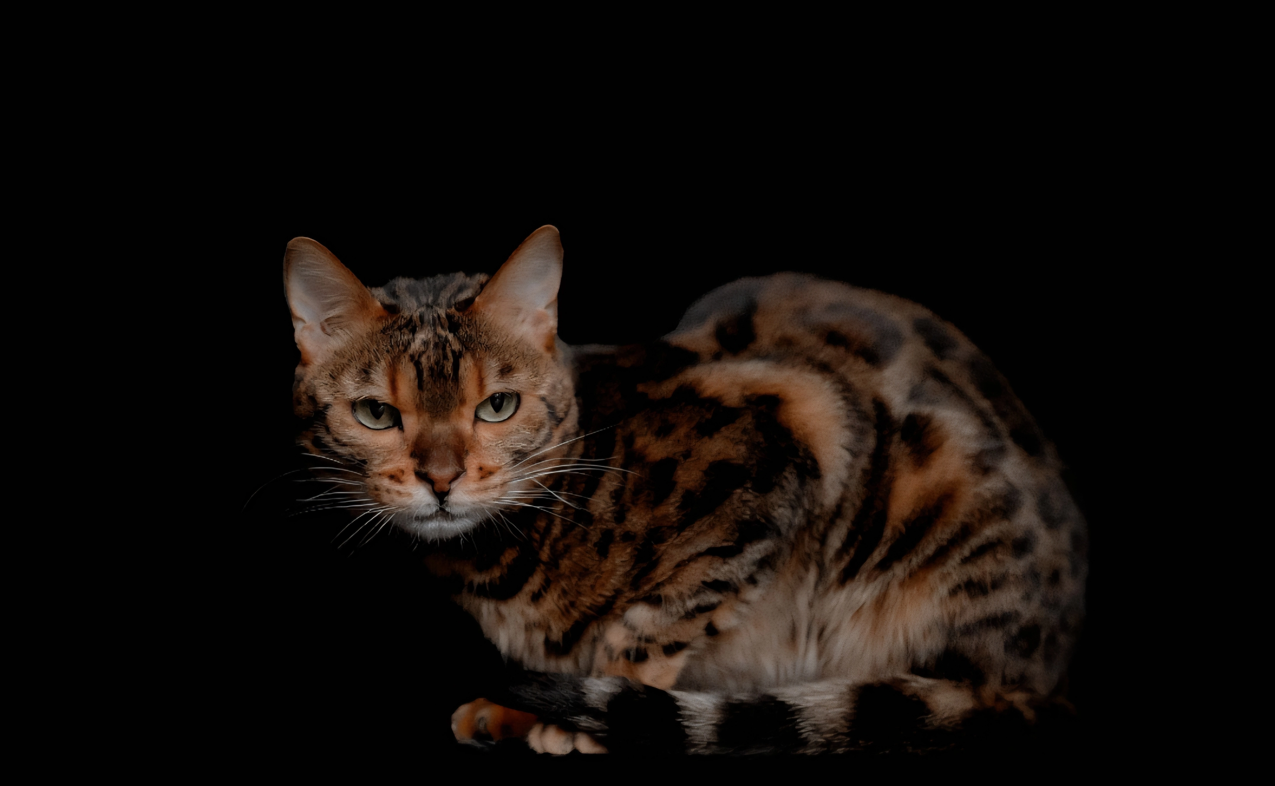 LUCIFER - Noordzeestraat, Kampen