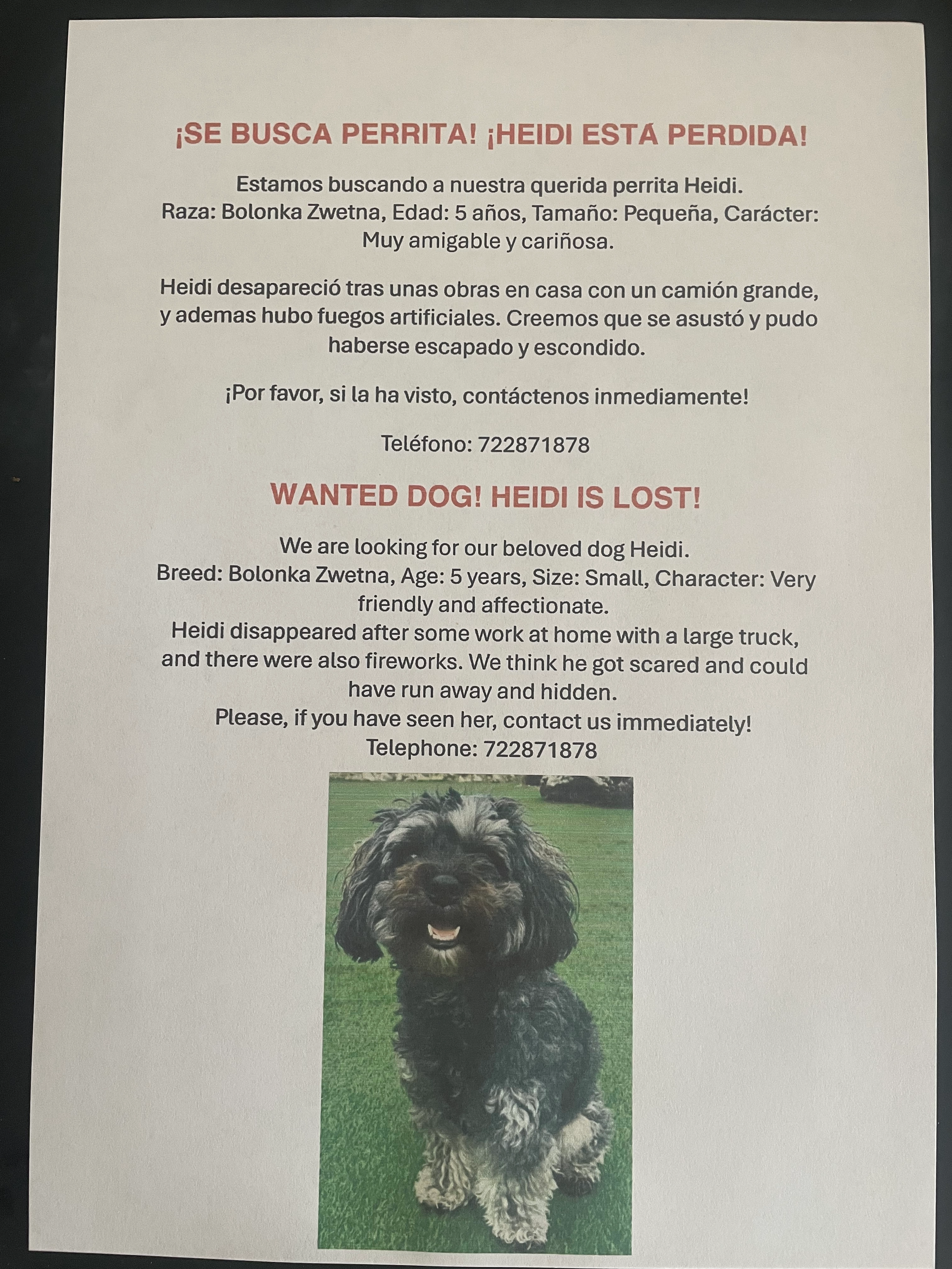 Heidi - Partida Jovada, Palma de Gandia