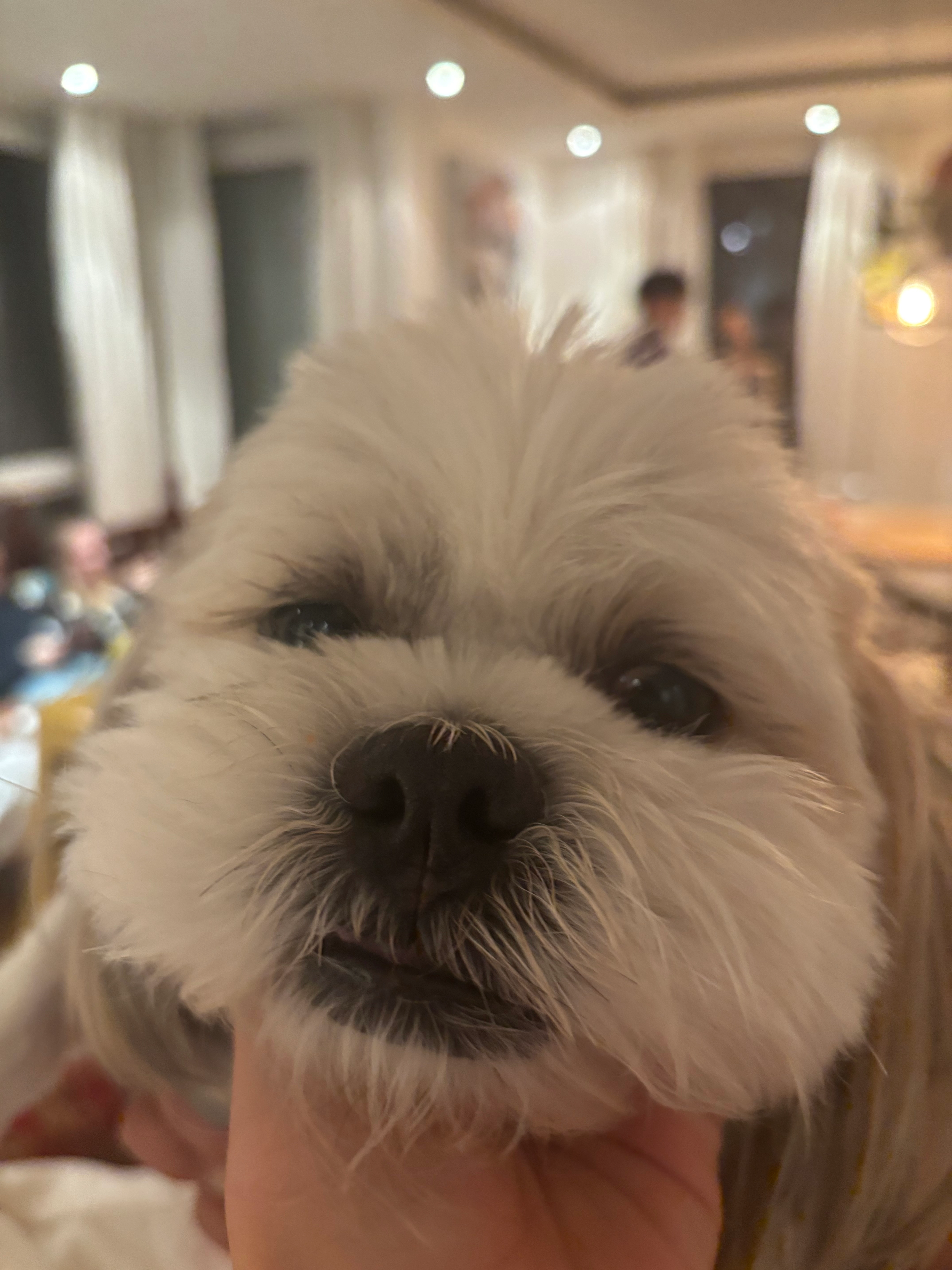 Barron - Filderbahnstraße, Stuttgart