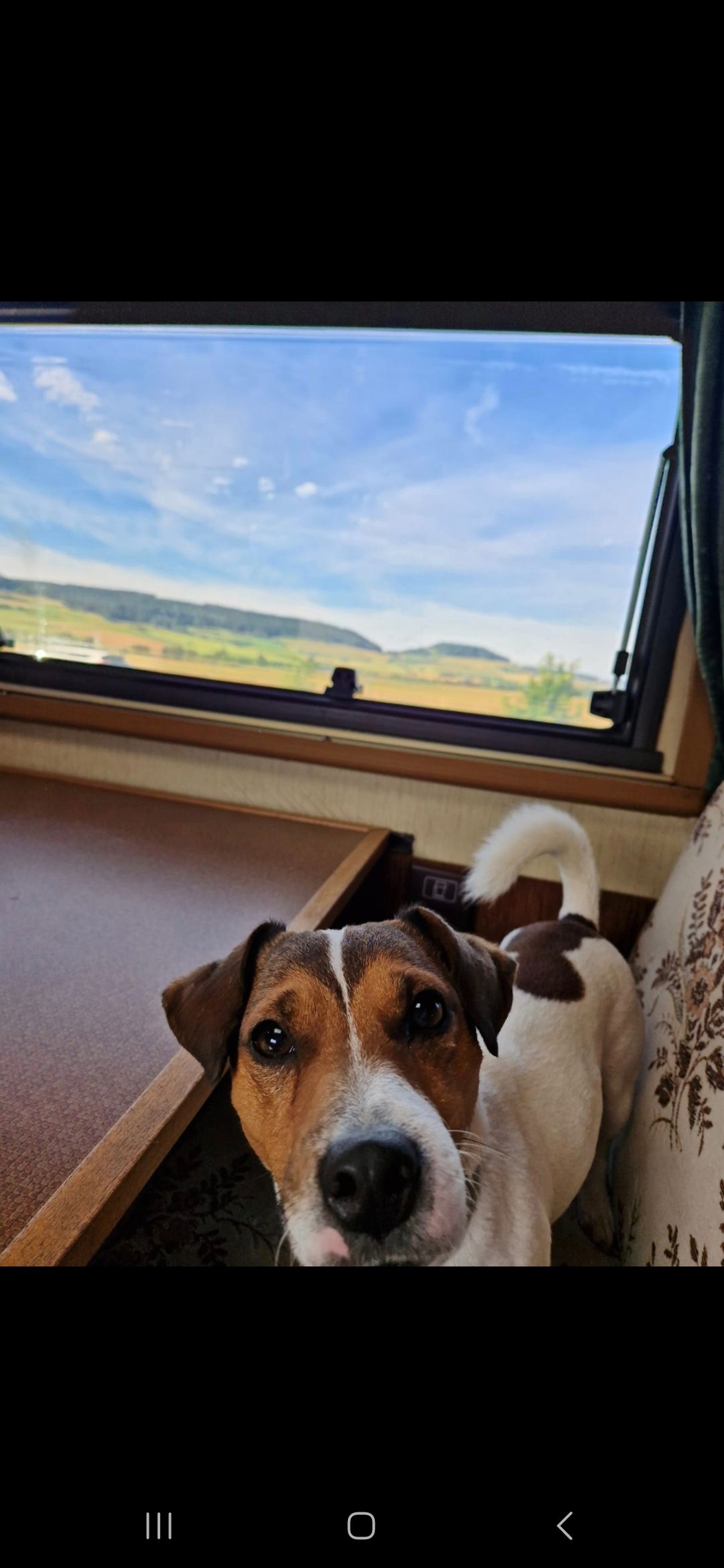 Chip  - R Azenha, Amoreira