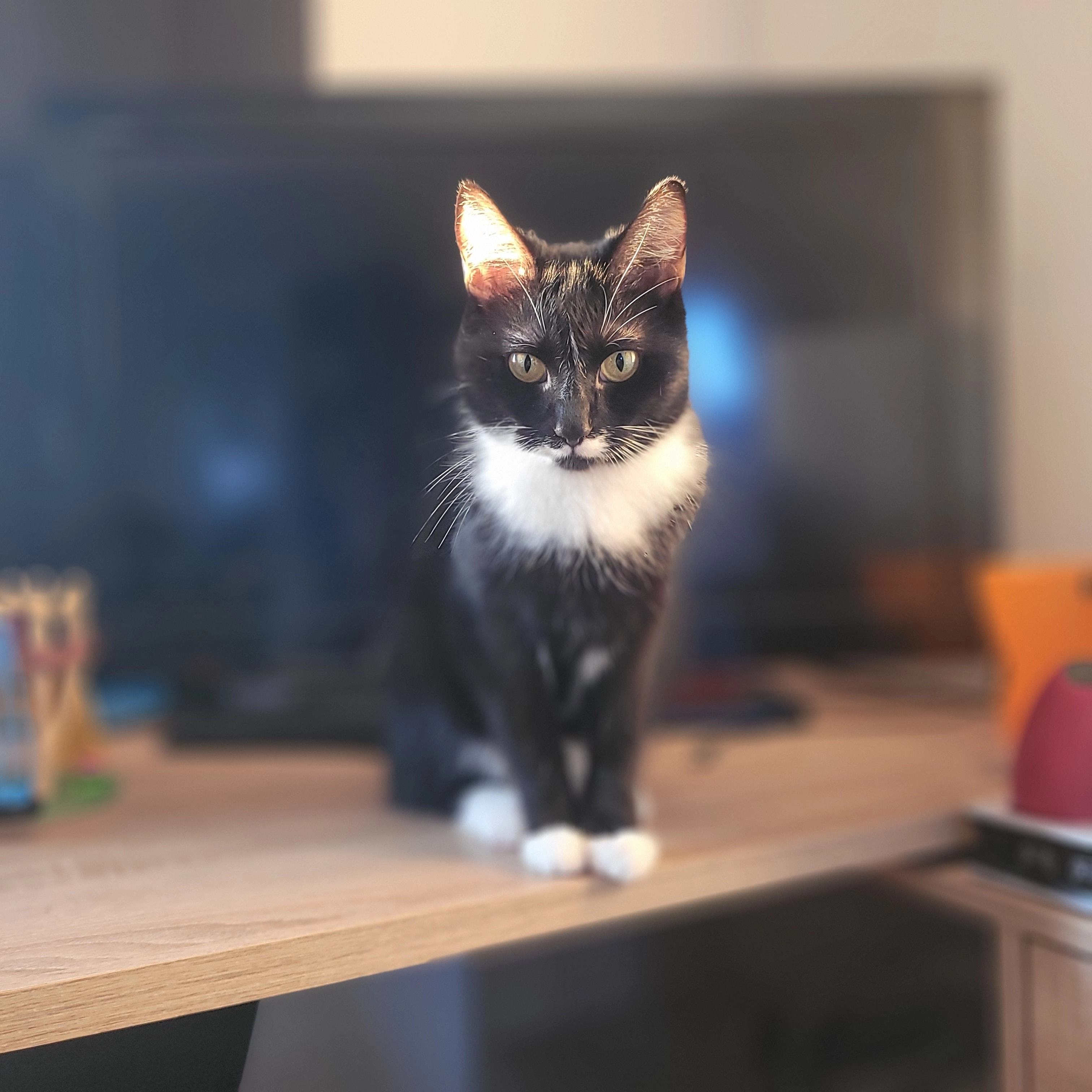 Ayvi - Hans-Böckler-Straße, Bergkamen