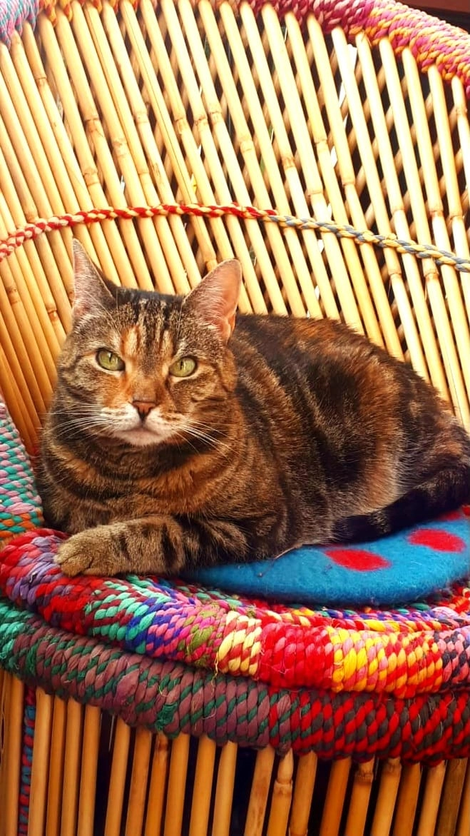 Edna - Ernst-Toller-Straße, Leipzig