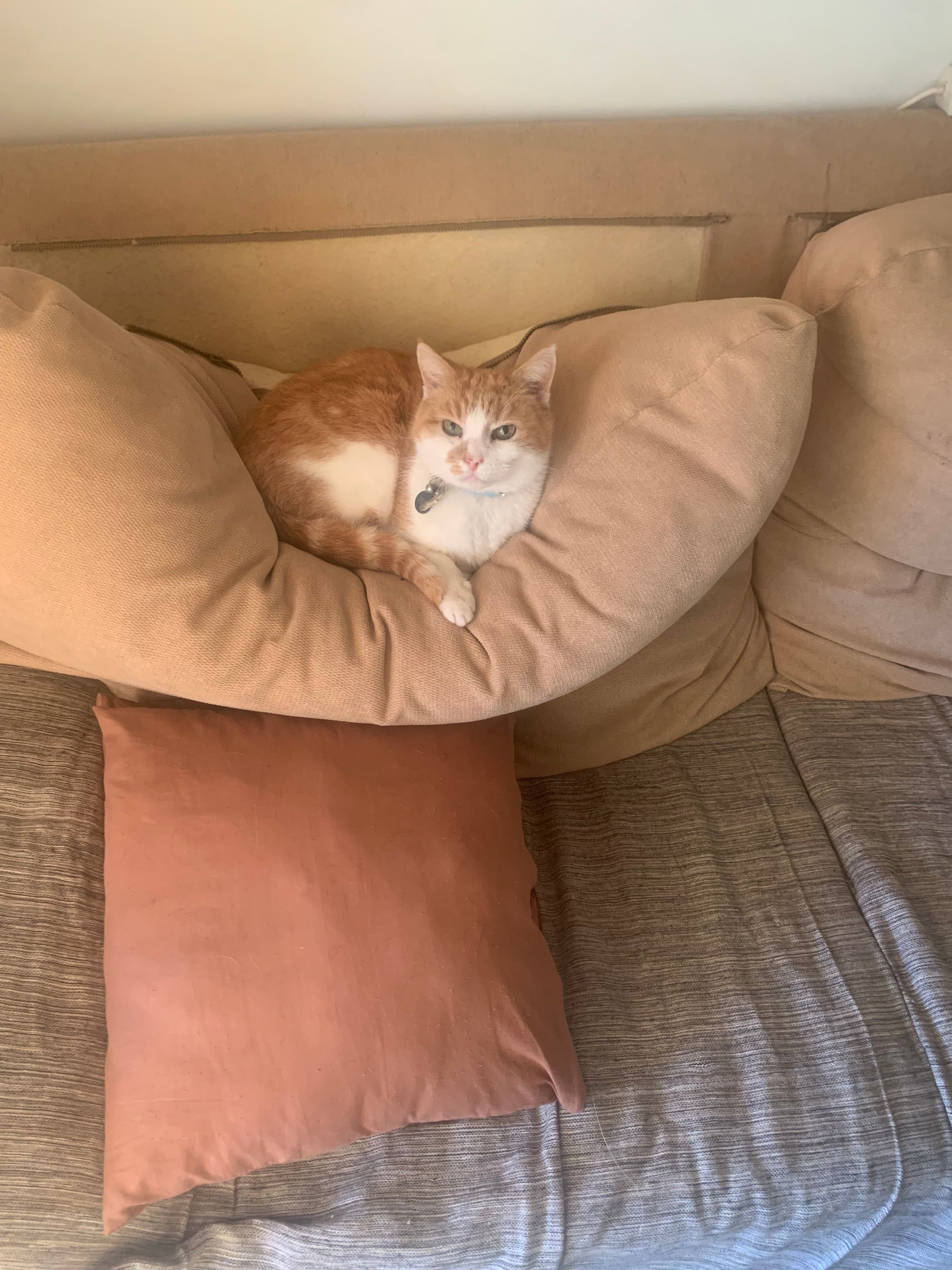 Fred - Urbanización Cortijo Romero, Viñuela