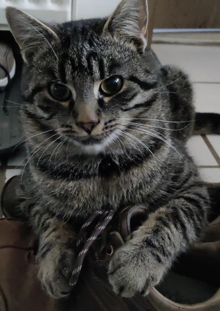 Balu - Wolfschlugener Weg, Rötha