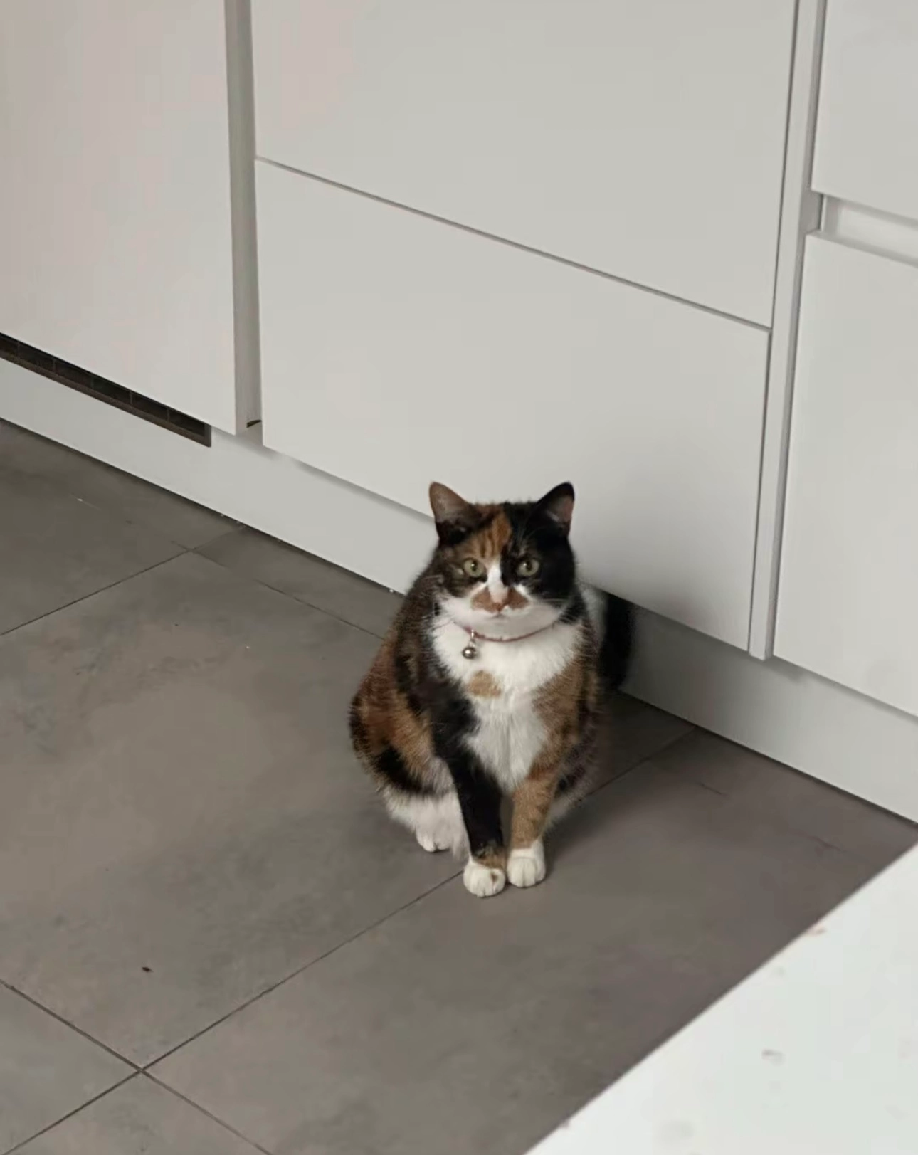 kadife - Stationsstraat 17, Zele