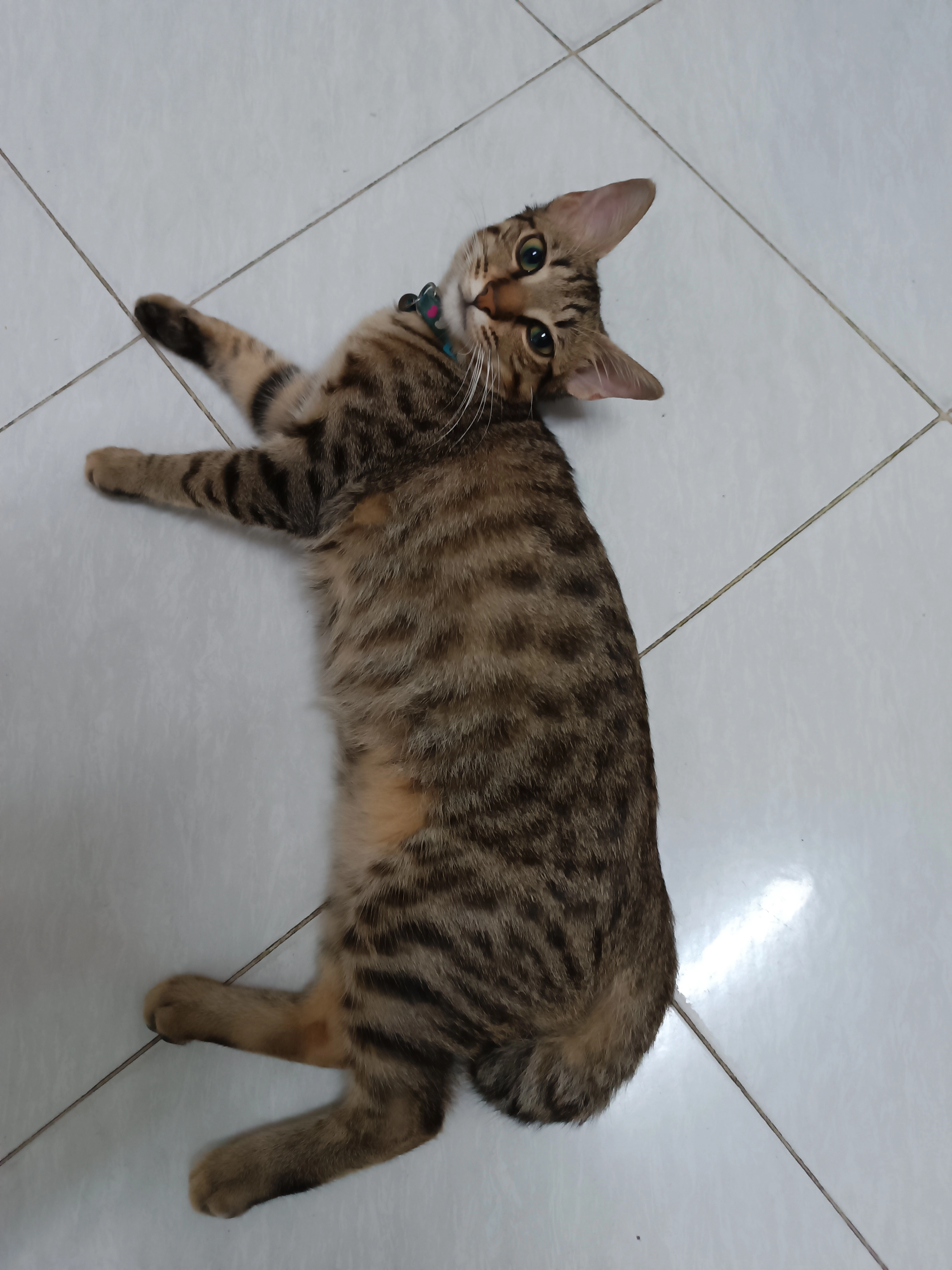 Casper - Lorong Seri Kijang 42, Mukim 15