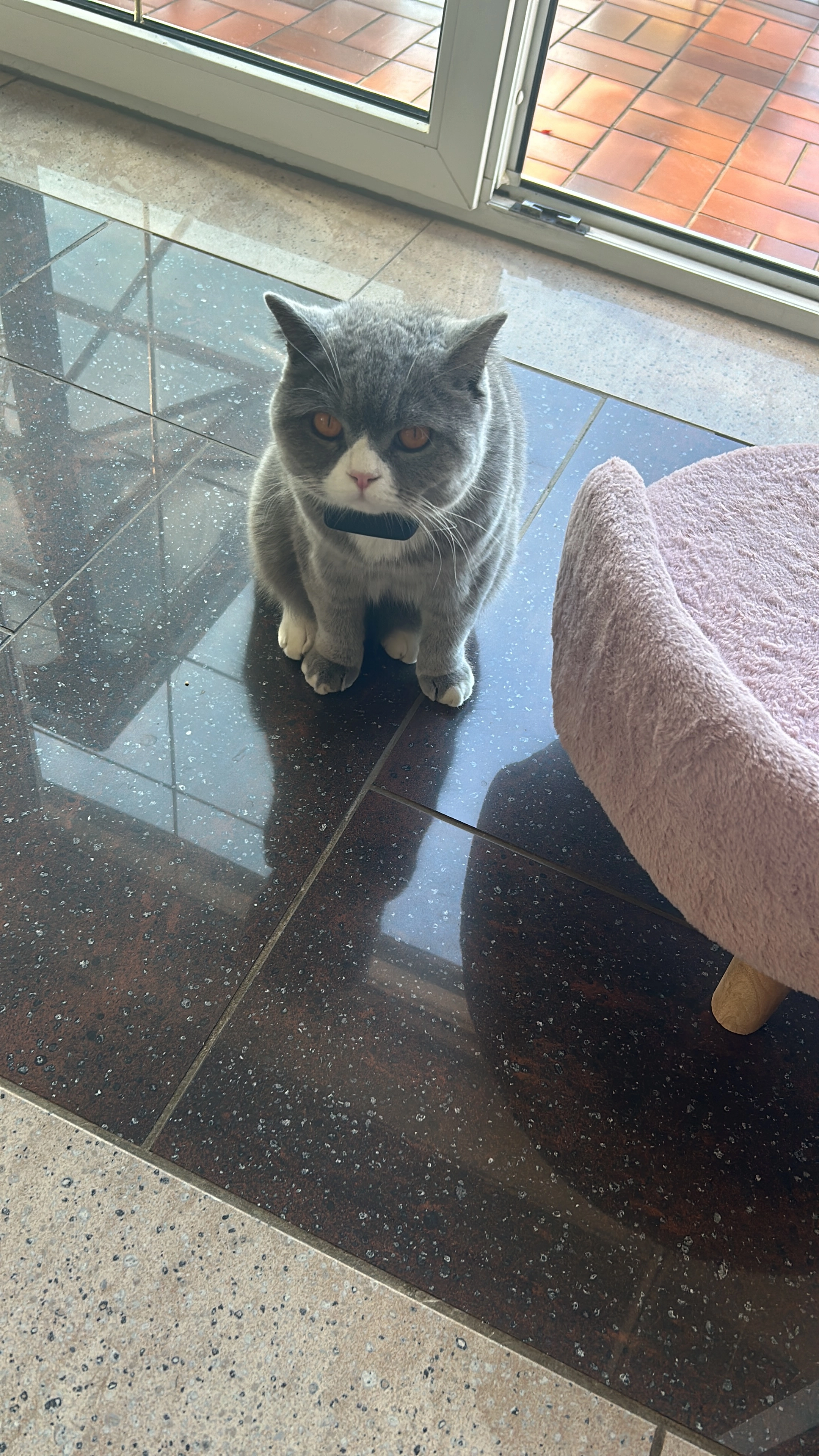 Napoleon  - Bahnhofsberg, Bobritzsch-Hilbersdorf