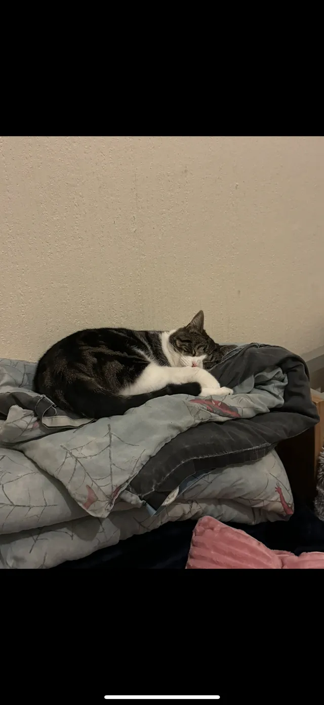 Edward (Ed) - Paddock Street, Accrington
