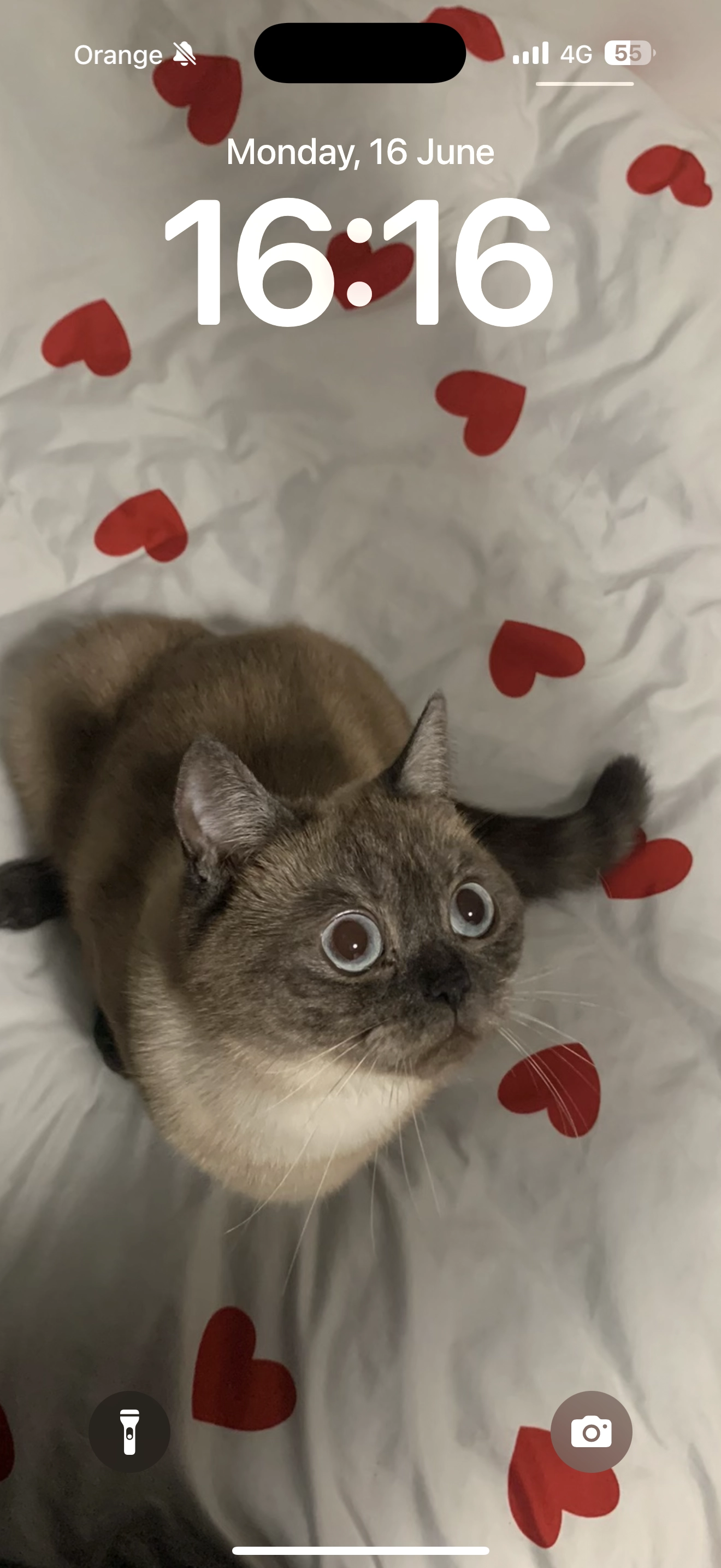 Luna - Gravenstraat, Middelburg