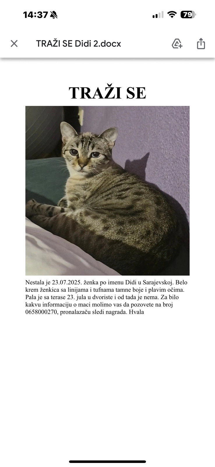 Didi - Sarajevska, Belgrade