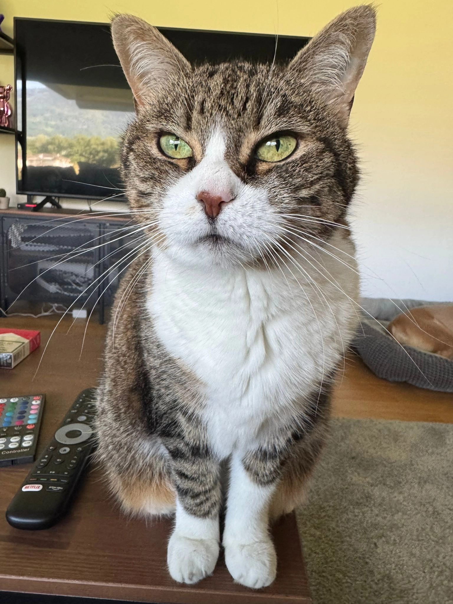 Katy - Eisenerzstrasse 5, Sargans