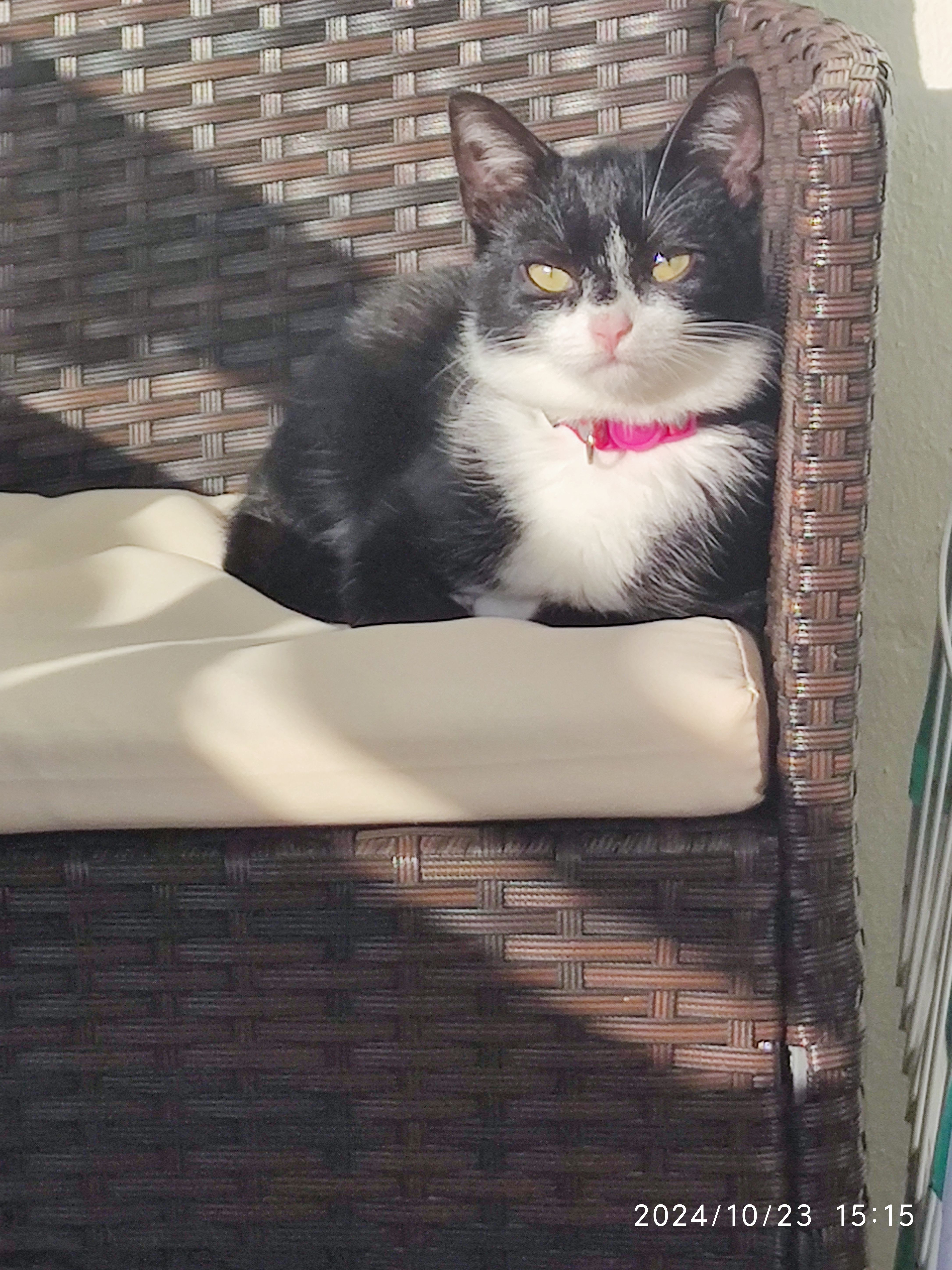 Luna - Am Langen Bürgel, Kahla