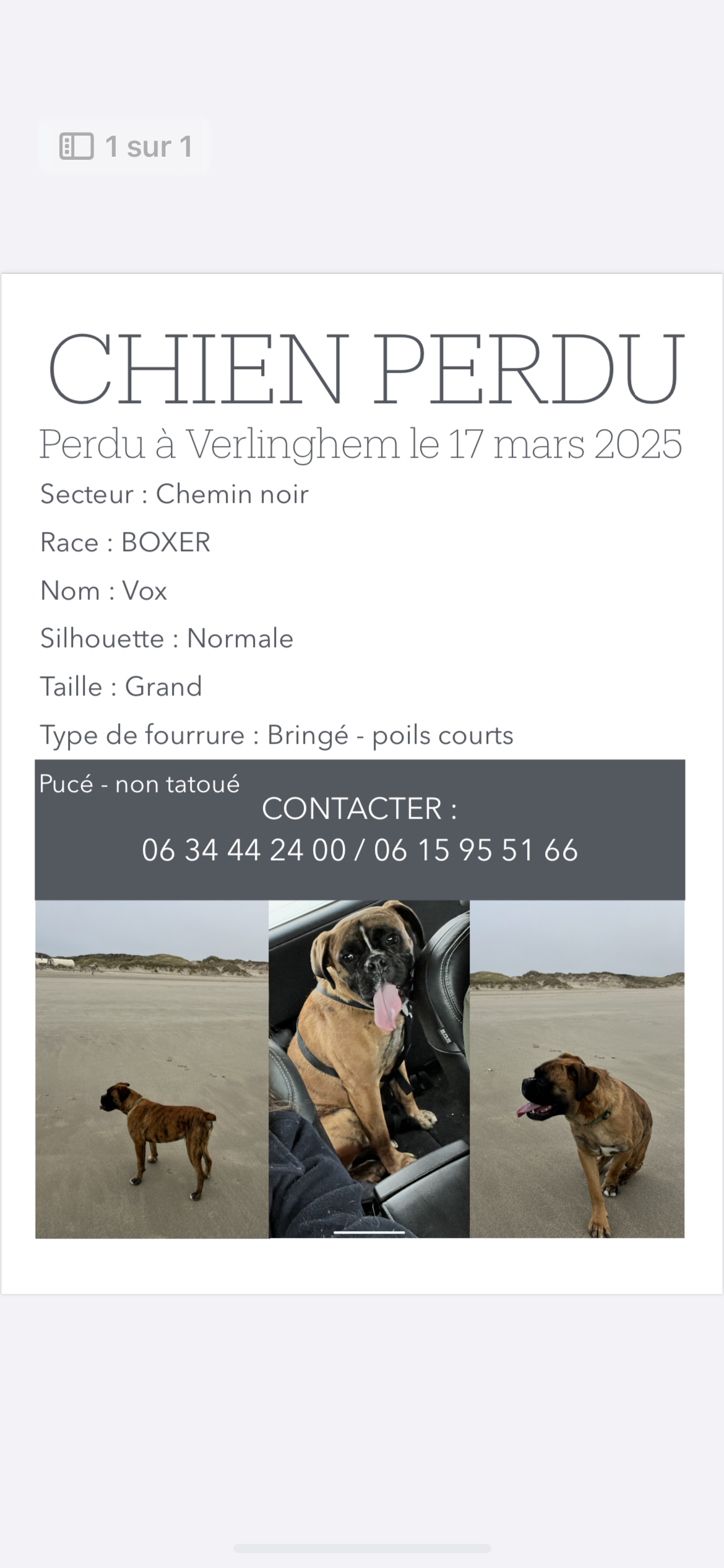 Vox - Chemin Noir, Verlinghem