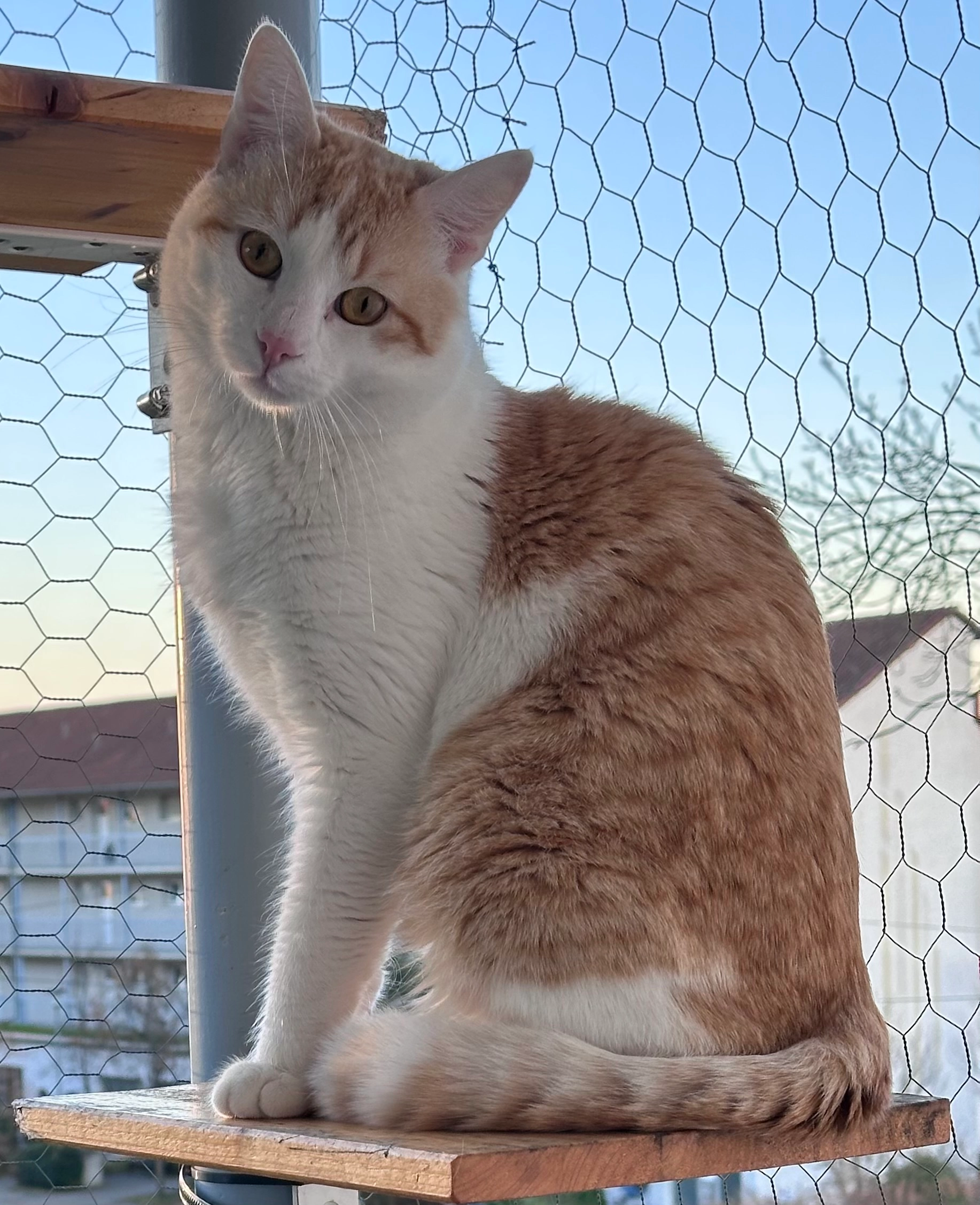 Momo - Martin-Luther-Straße, Neustadt an der Weinstraße