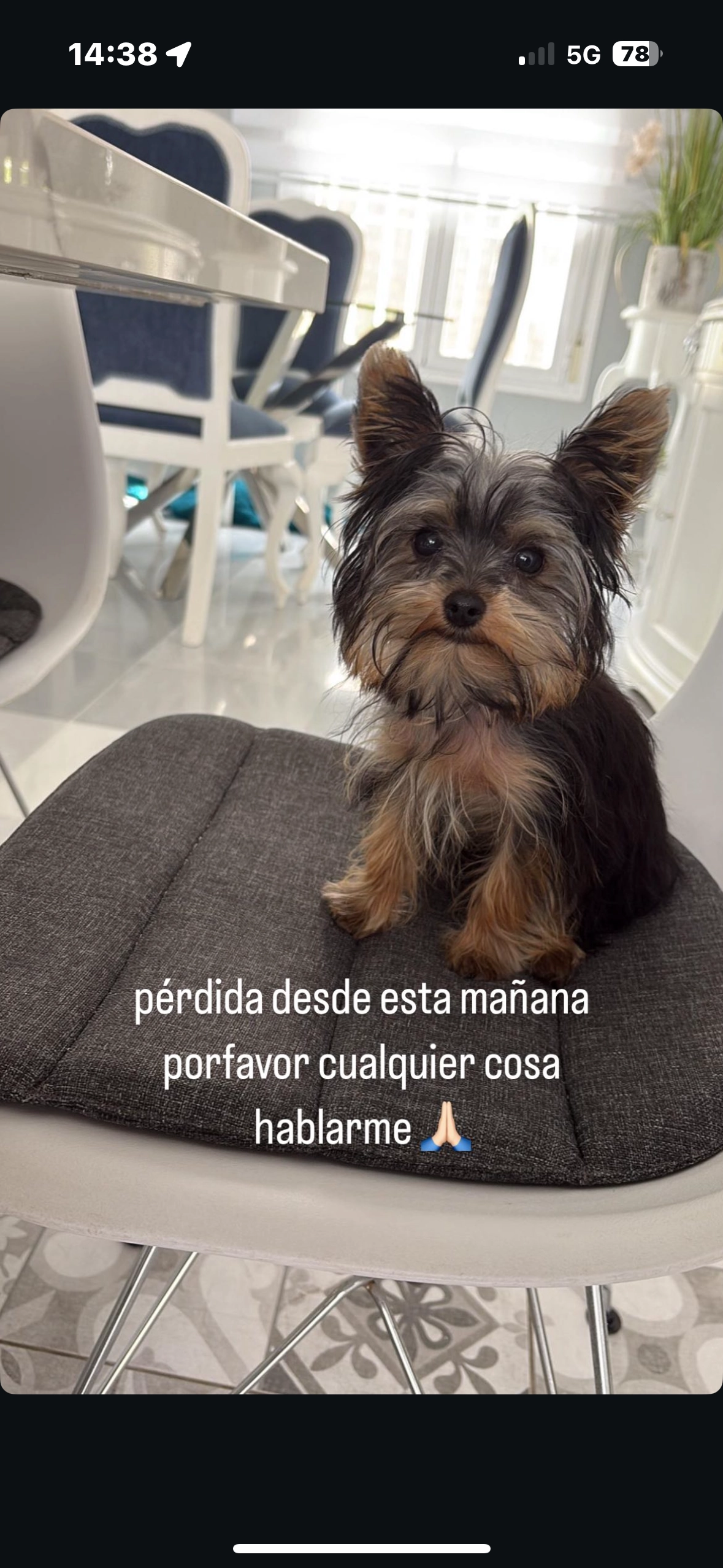 Nika - Calle Suecia 41, Guardamar del Segura