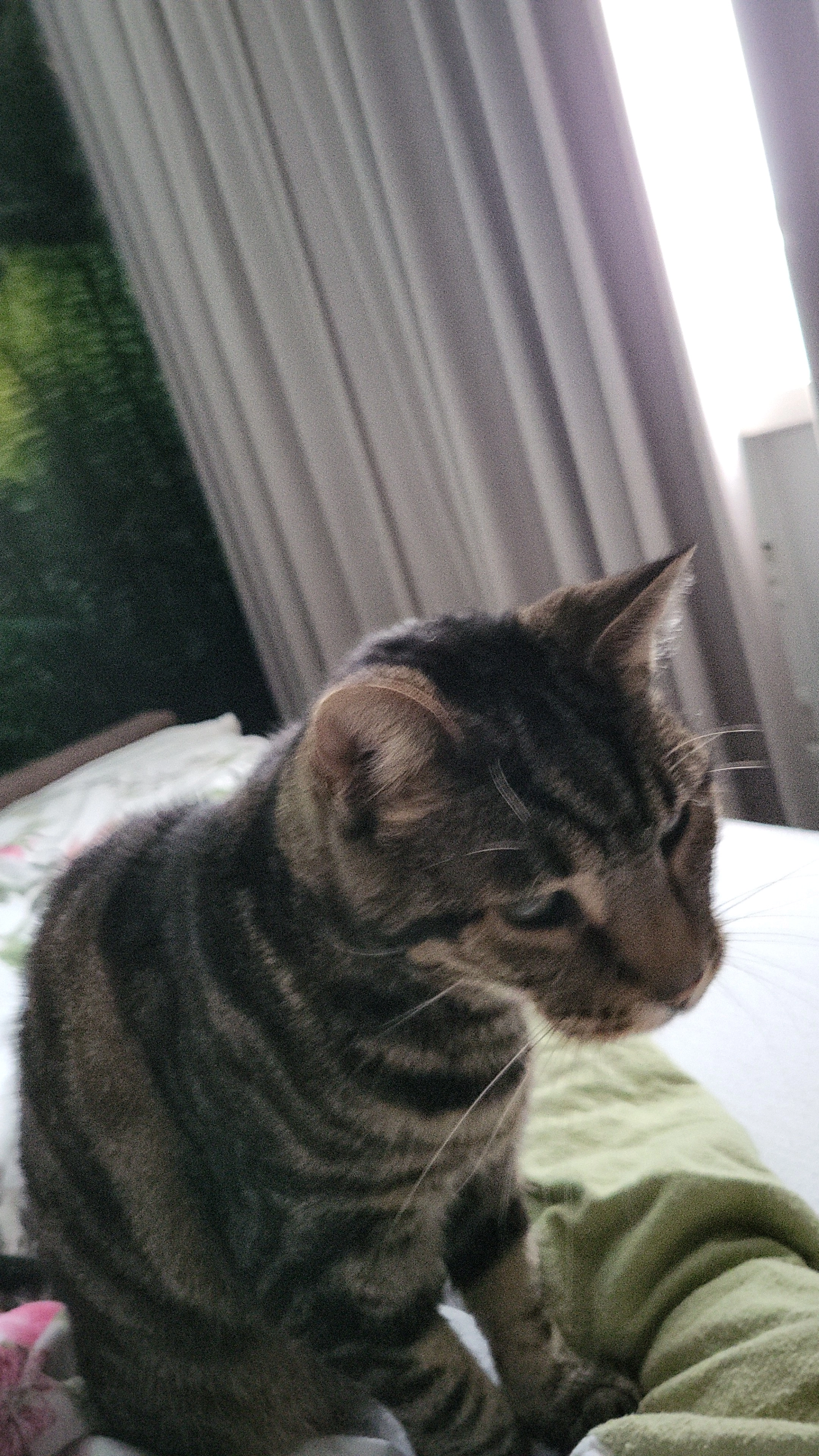 Gucci - Ruyghweg, Den Helder