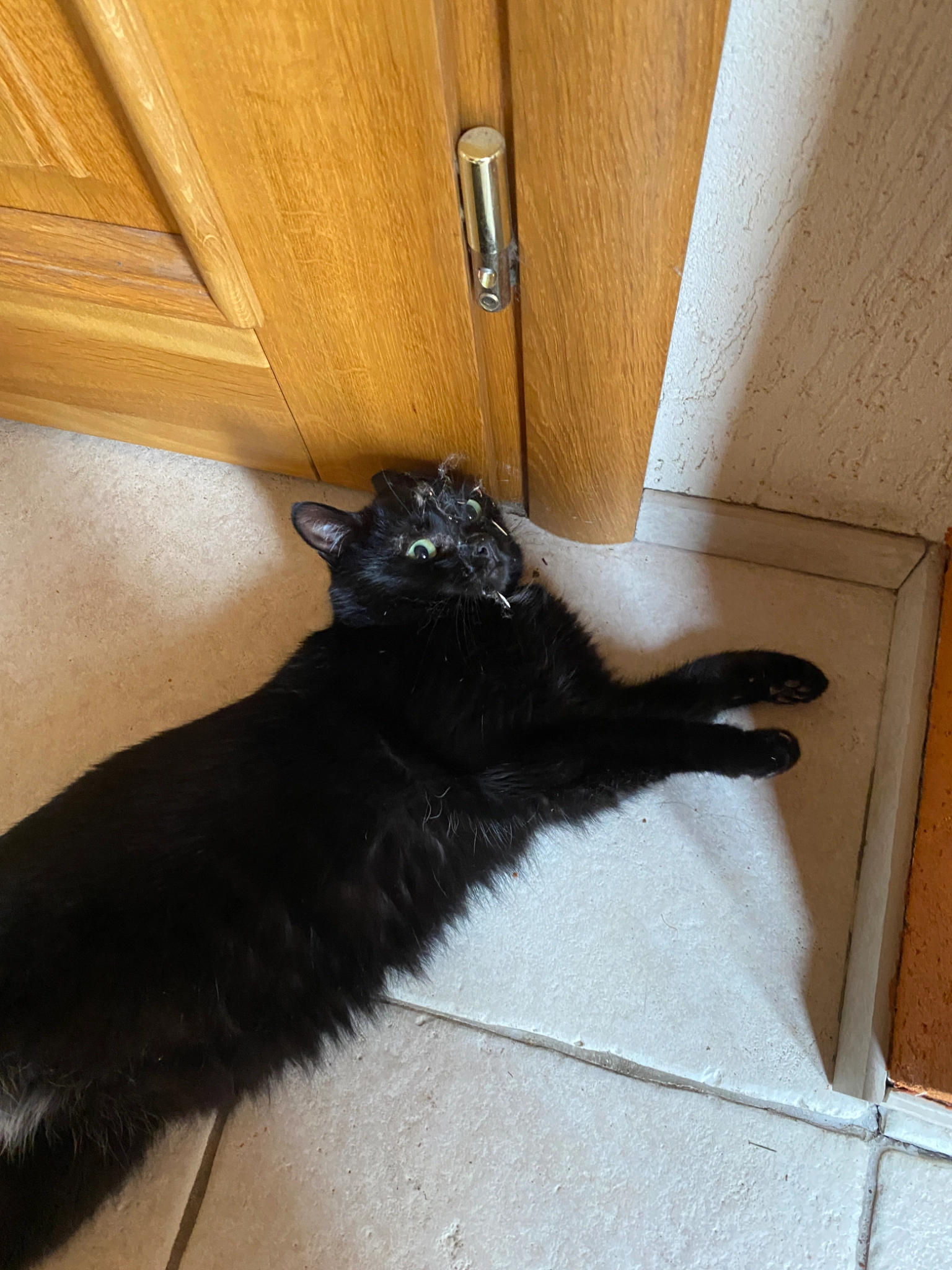 Timis - Ežero gatvė, Vilniaus rajonas