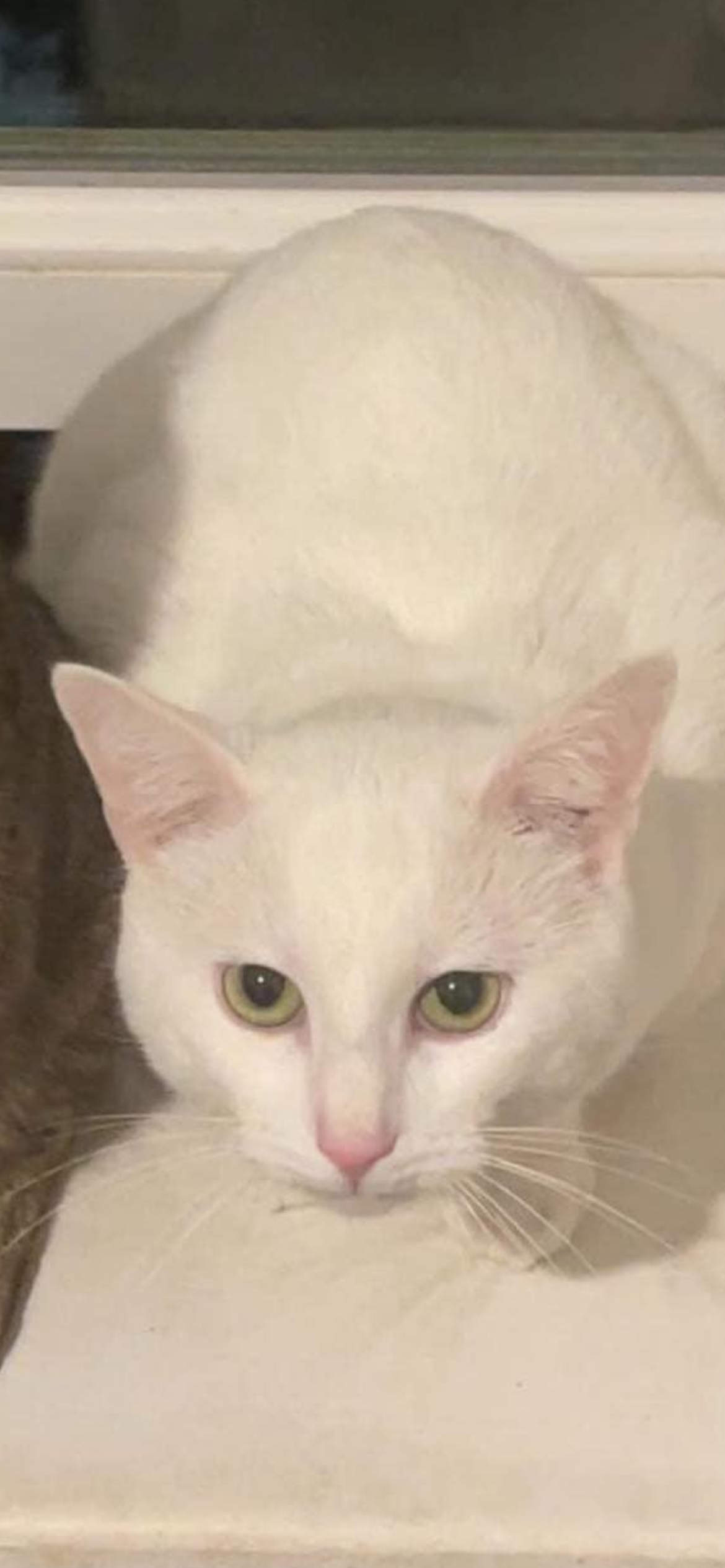 Scott - Rue De Meillier Fontaine, Charleville-Mézières