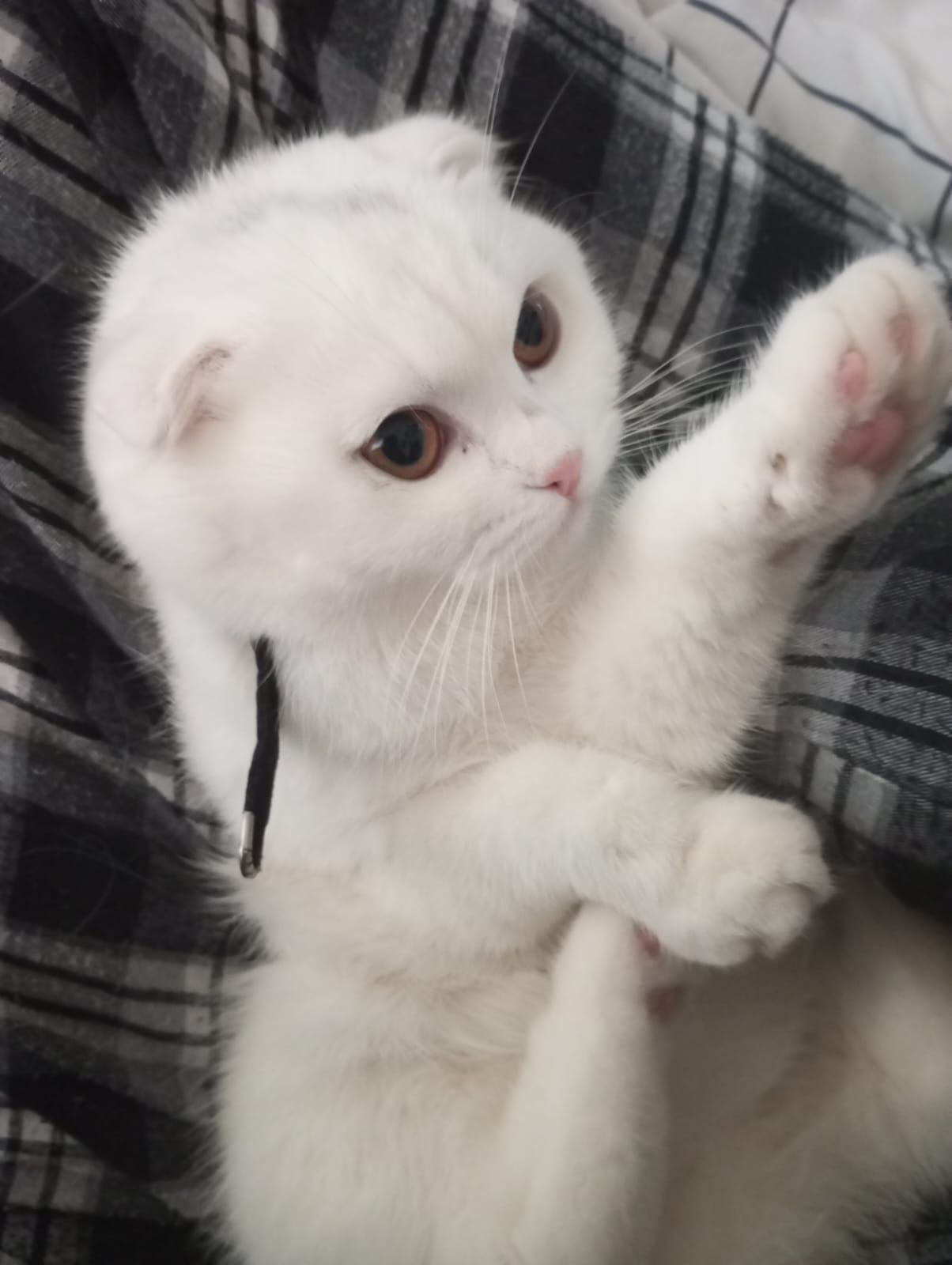 Lore - Civcili Ahmet Ağa Meydanı, Fethiye