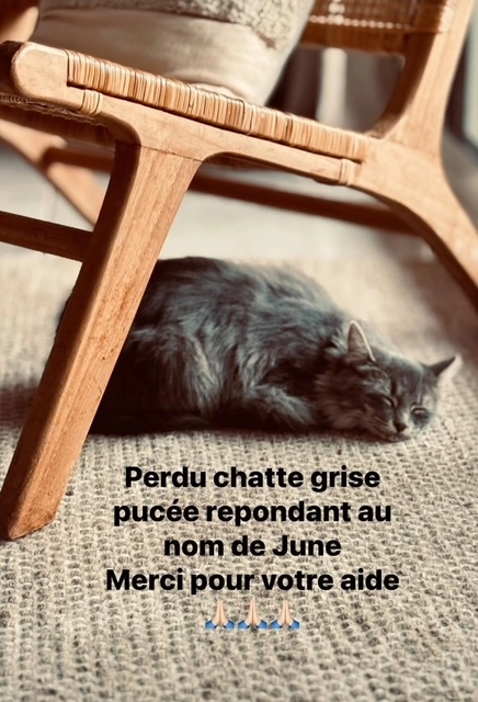 june - Chemin Du Carry, Cogolin