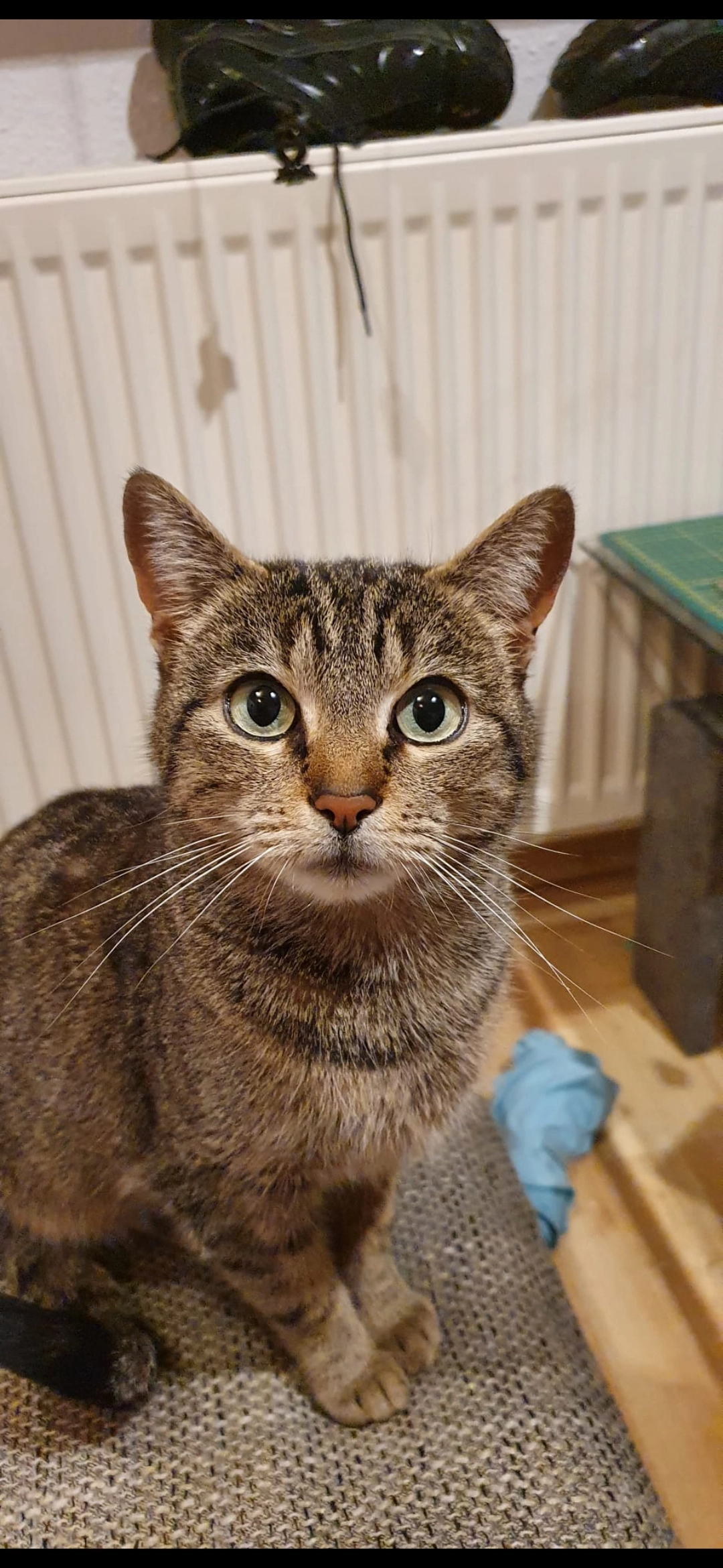 Lumina - Im Naßacker 6, Mömbris