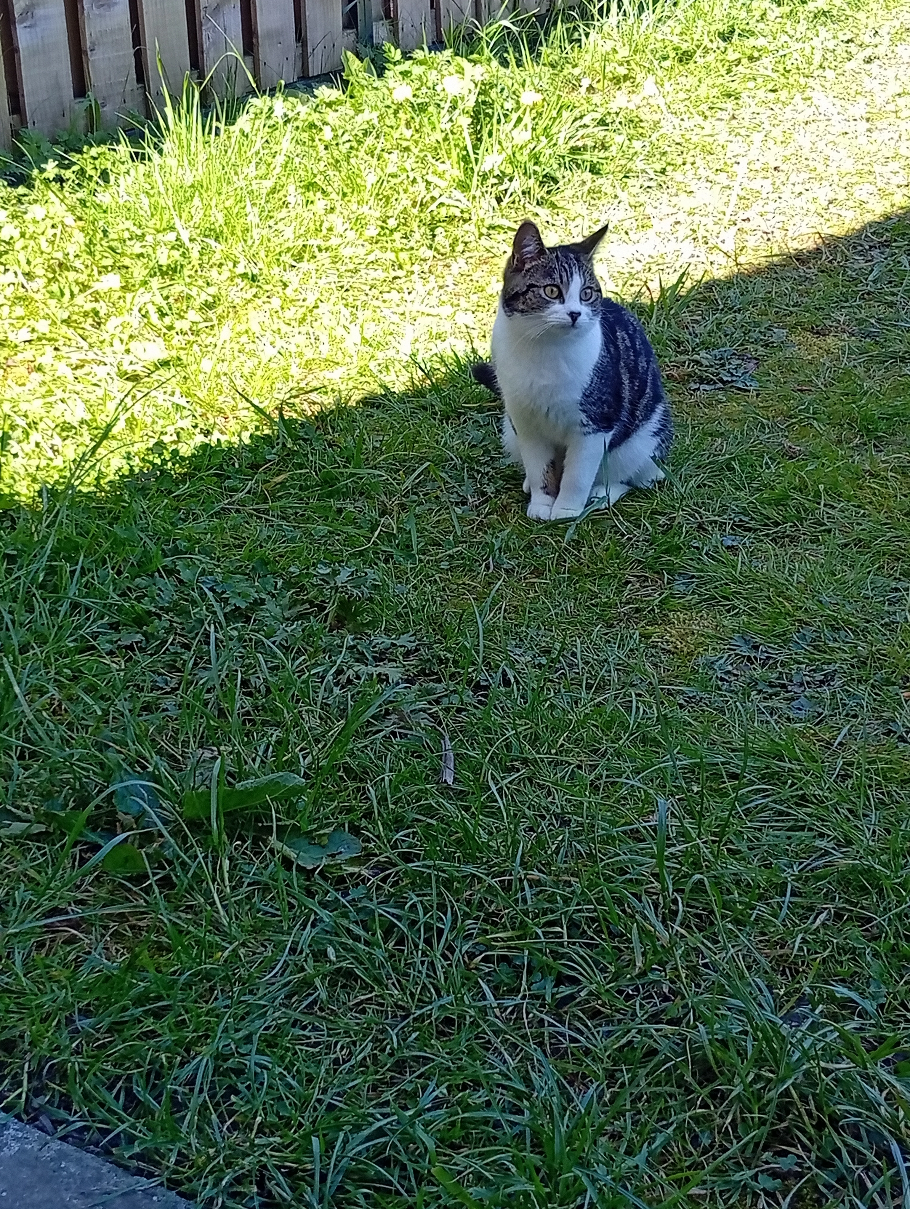 SUKY  - Cooleven Way, Clondalkin