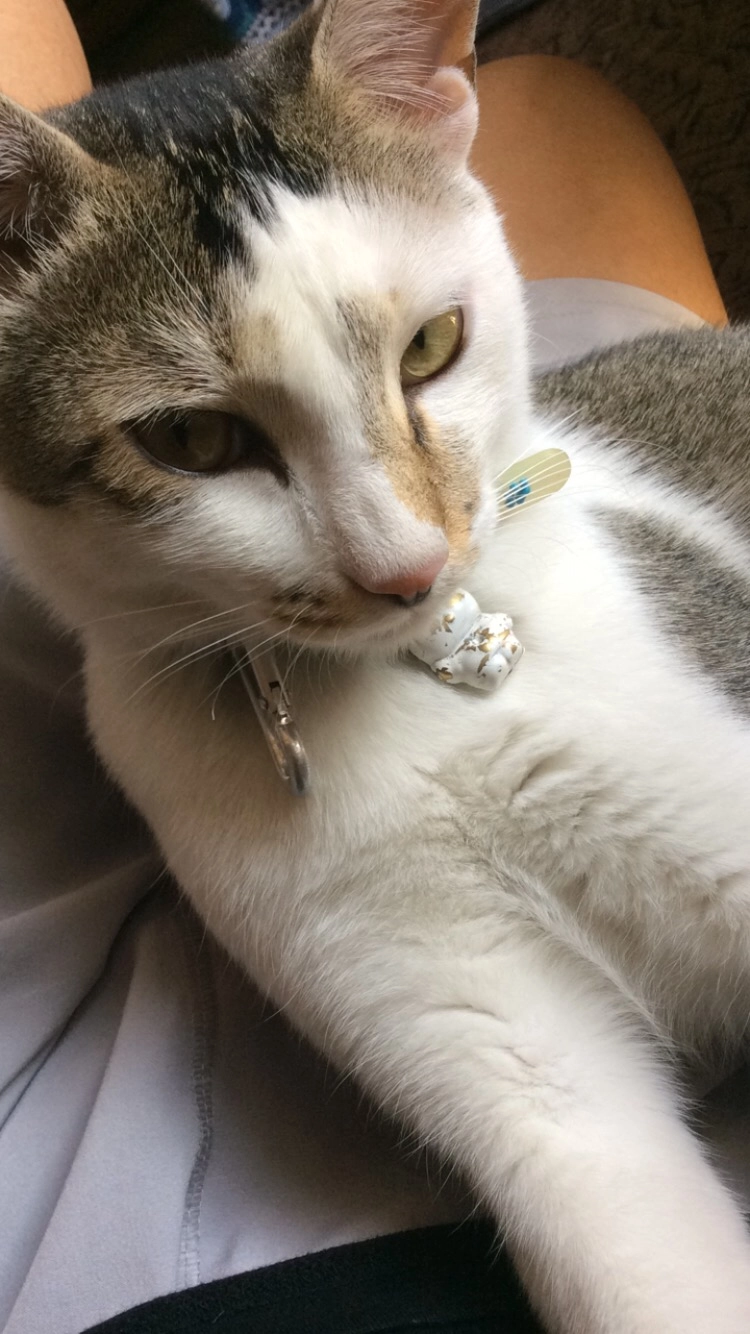 Mizu - Pani Tanki, Kathmandu