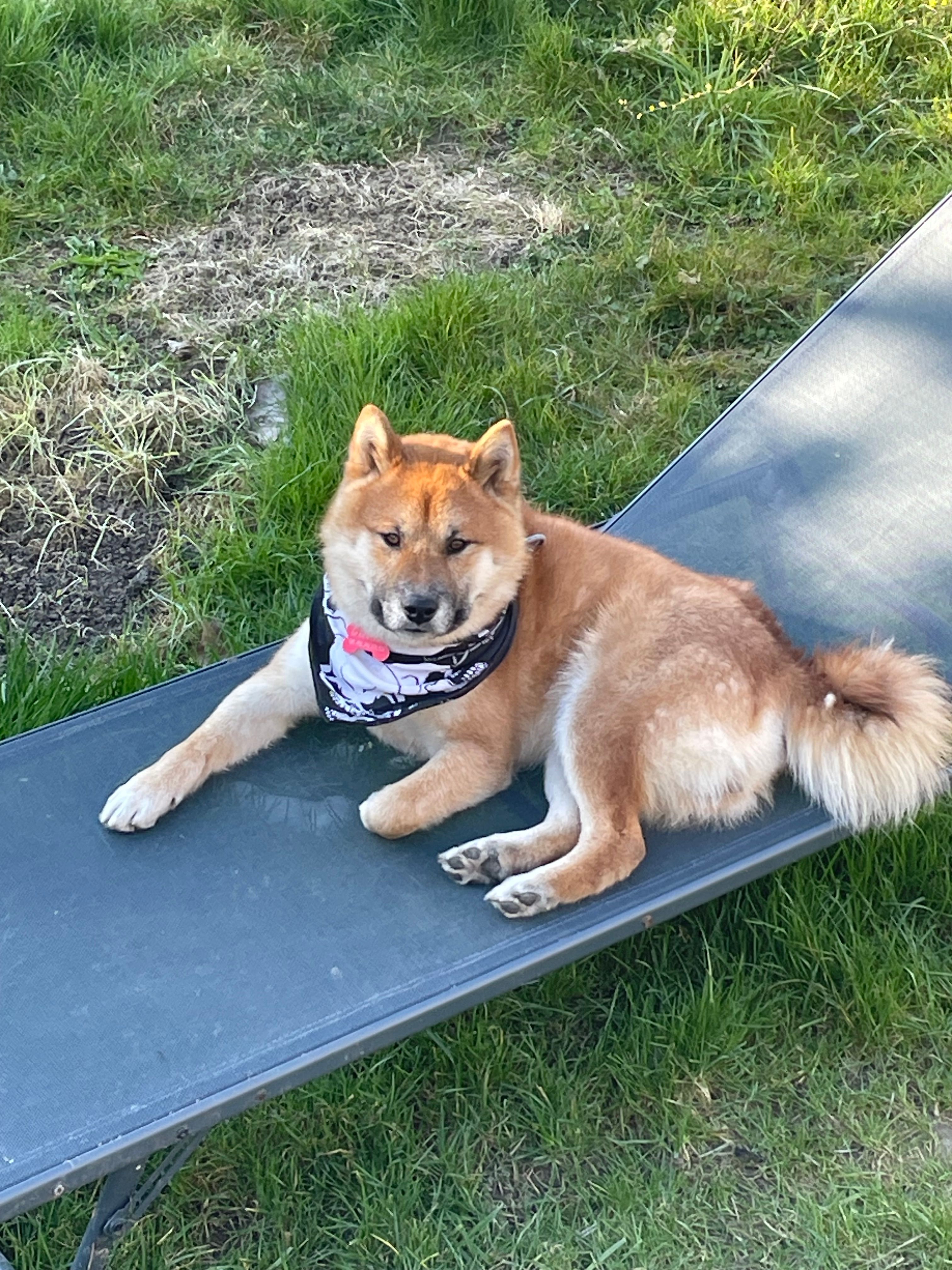 Taiko - Rue De Sequedin, Hallennes-lez-Haubourdin