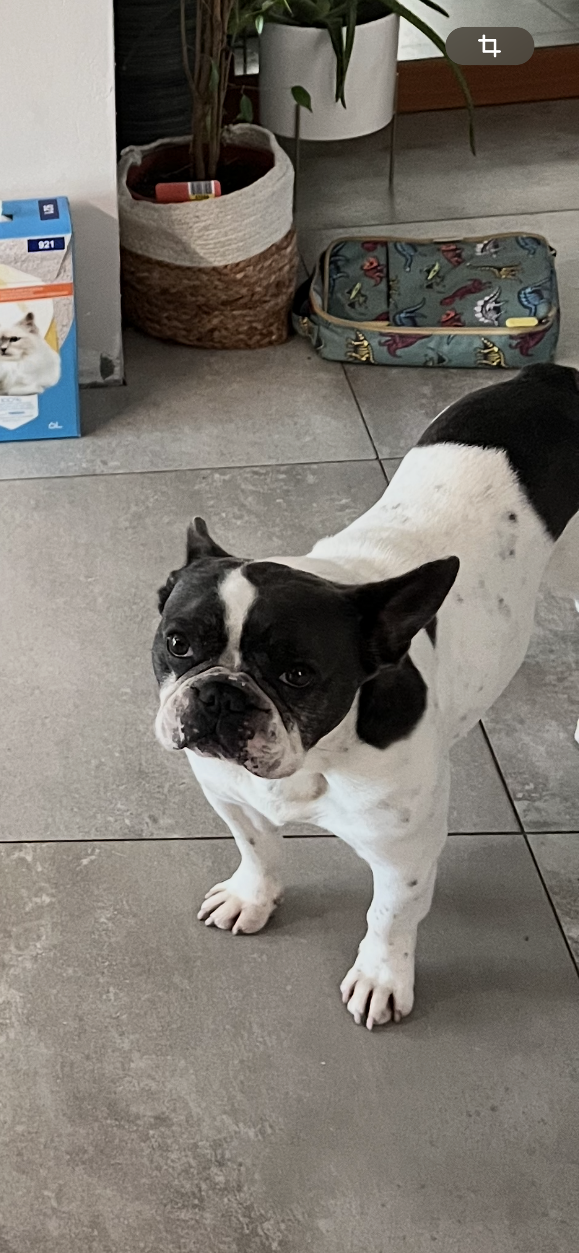 0499614741 - Rue de la Cave 17, Charleroi