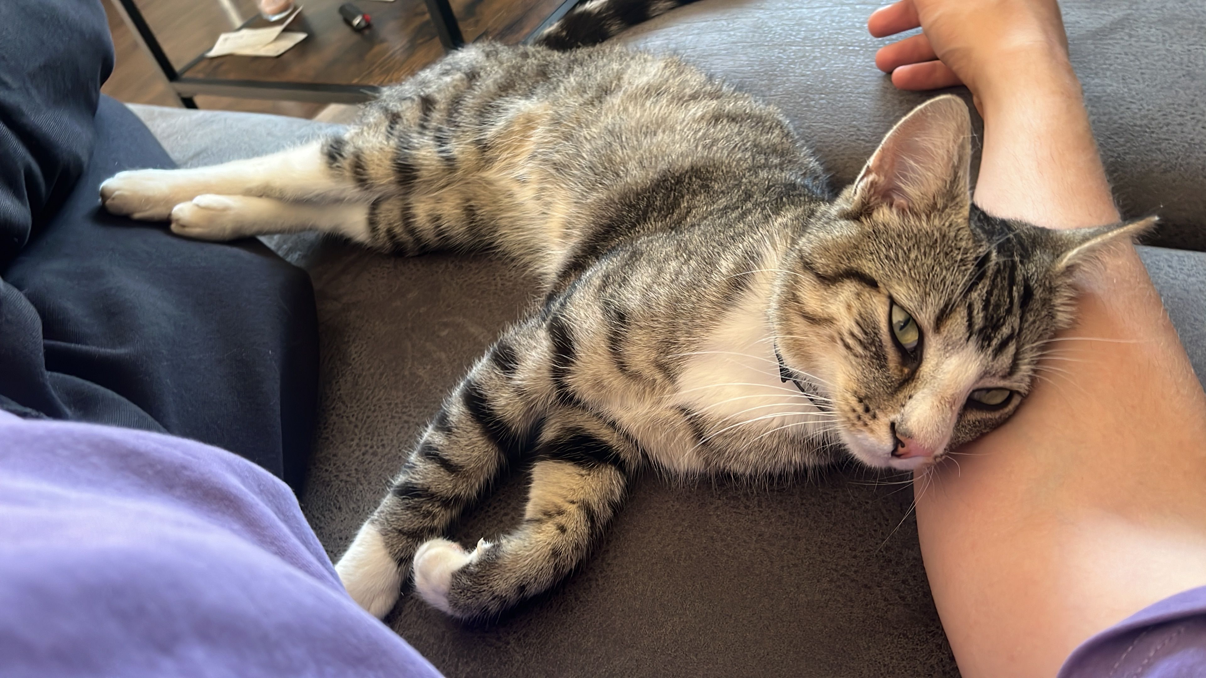 Simba - Brachter Straße 9A, Rauschenberg