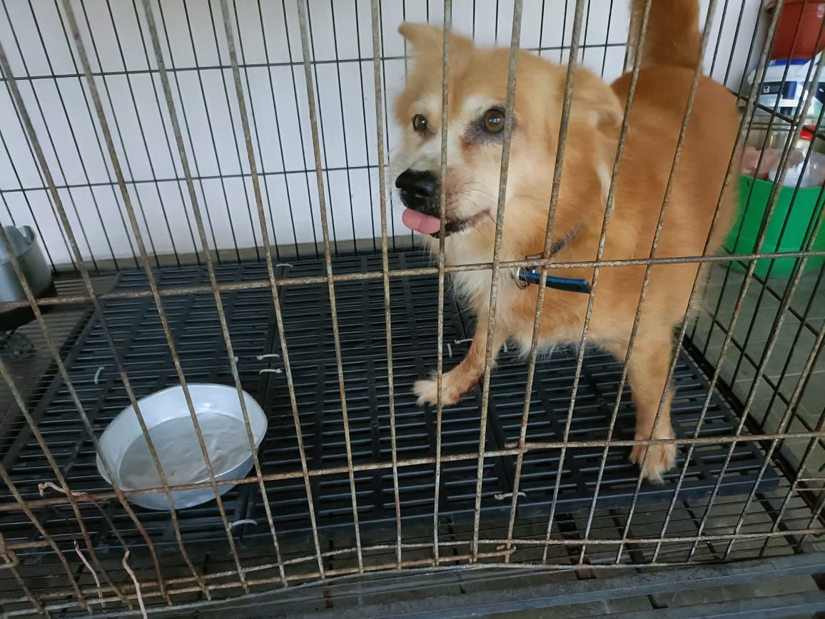 Ginny  - Lorong 25, Kuala Muda