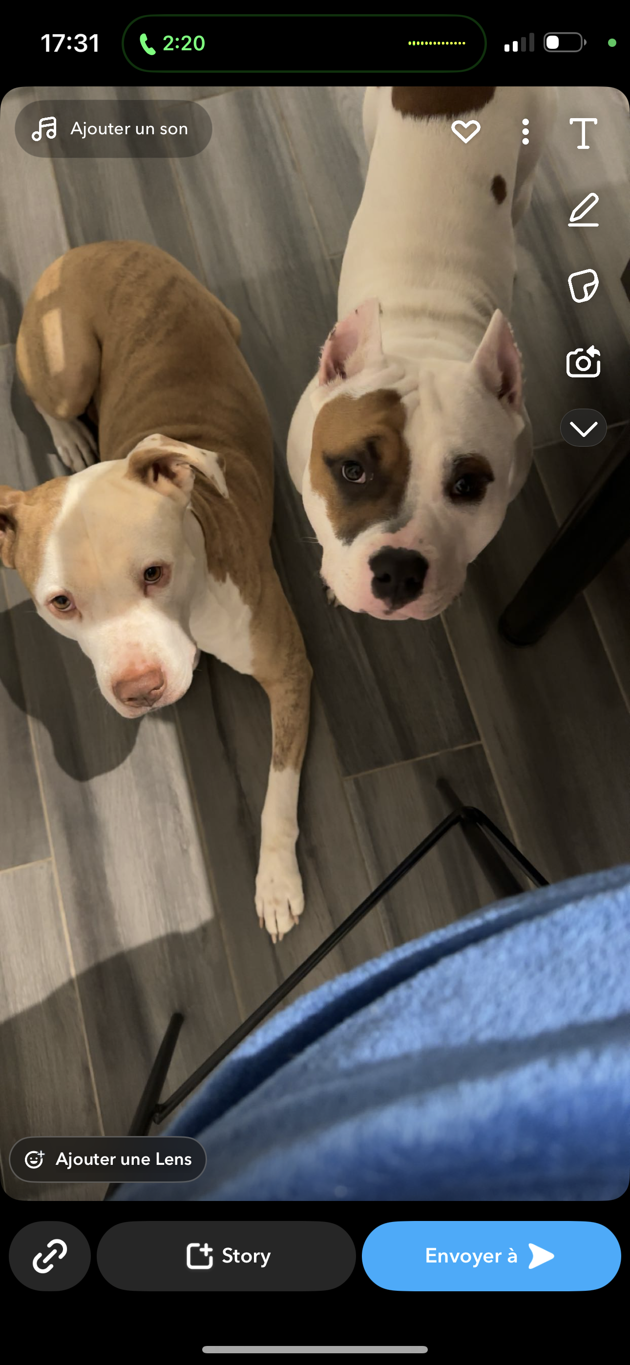 Chester et venom  - Chemin de Saint-Marcel-les-Valences, Saint-Marcel-lès-Valence