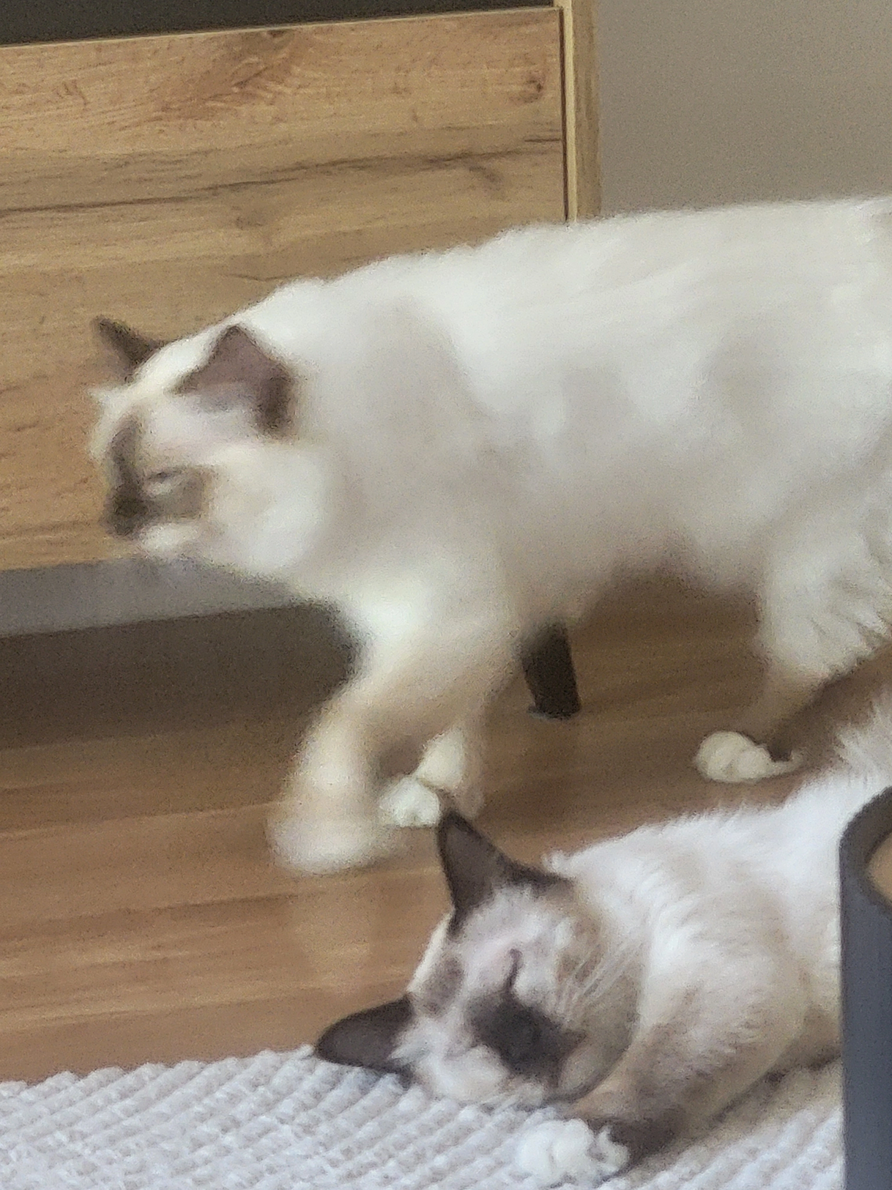 Coucouse - Rue Prosper Mérimée, Beauvais