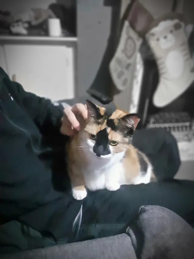 Heidi - Leybourne Drive, Nottingham