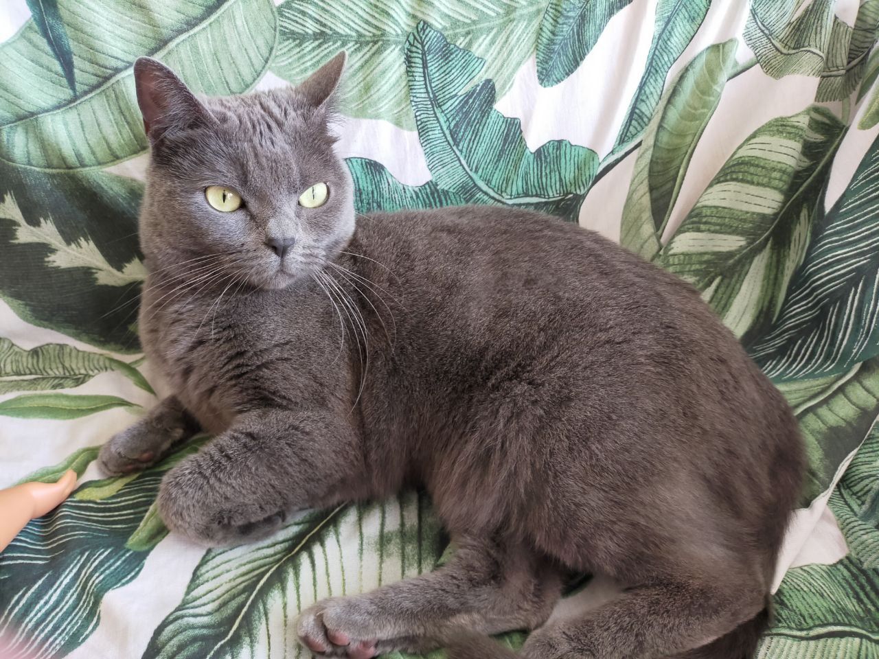 Oria - 80 Rue de Lyon, Avallon