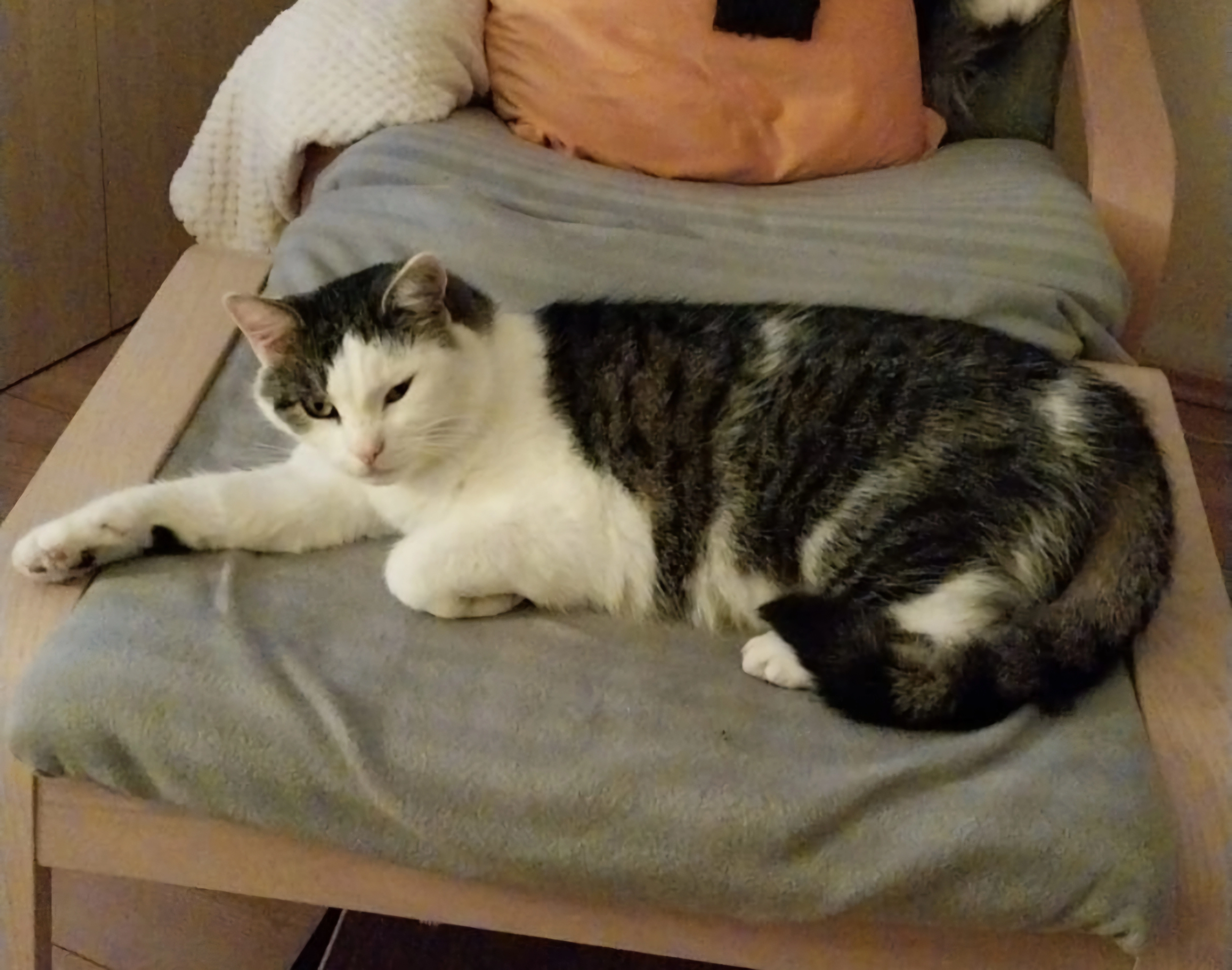 Mikesch - Industriestraße 3, Birkenwerder