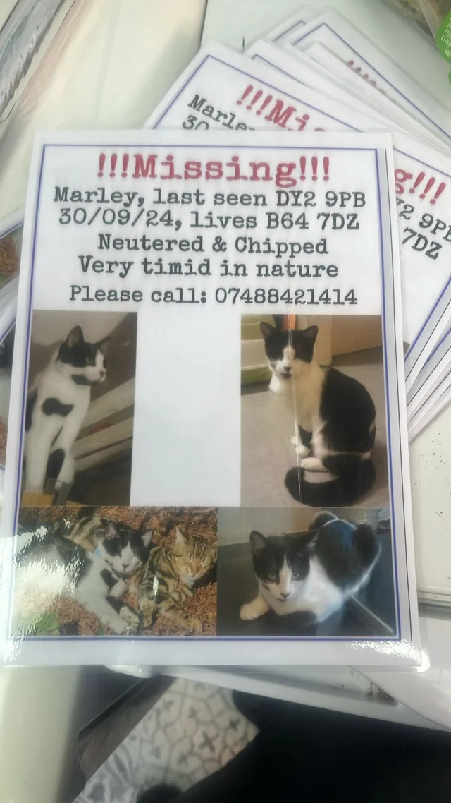 Marley  - DY2 9, Dudley